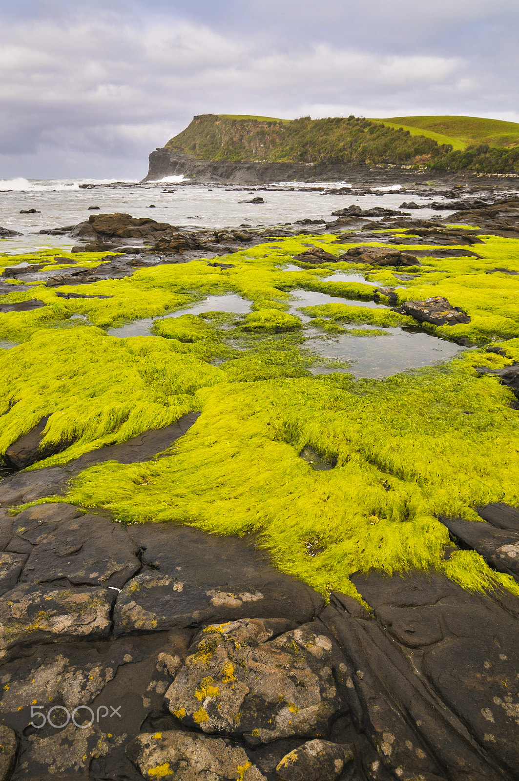 Nikon D300S sample photo. Green coast photography