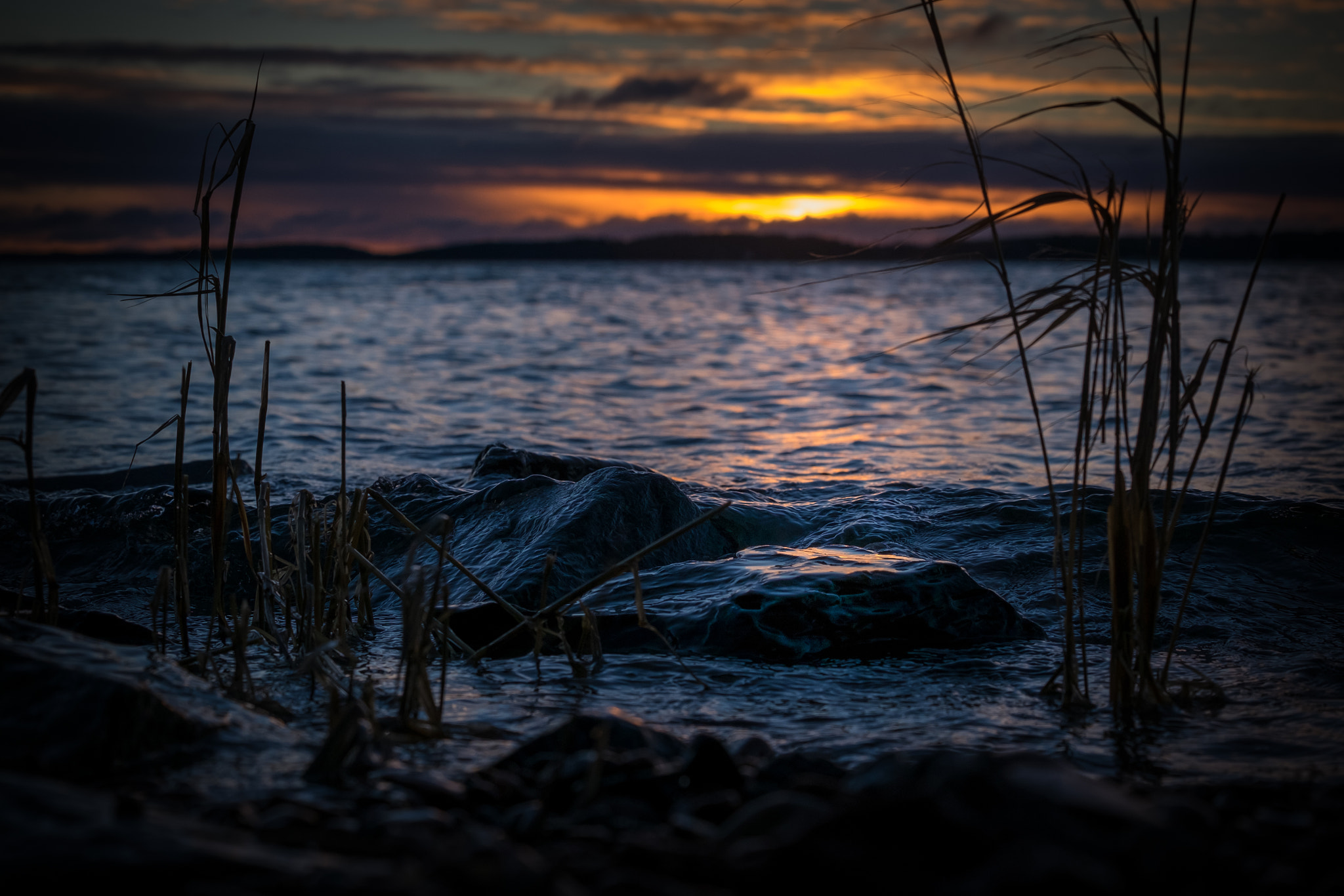 Fujifilm X-T1 + Fujifilm XC 50-230mm F4.5-6.7 OIS sample photo. A hint of light photography