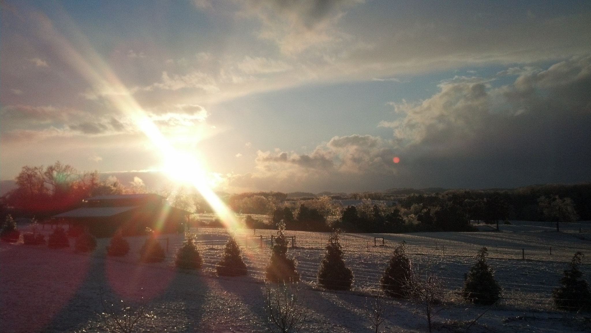 Motorola DROID RAZR sample photo. Back yard photography