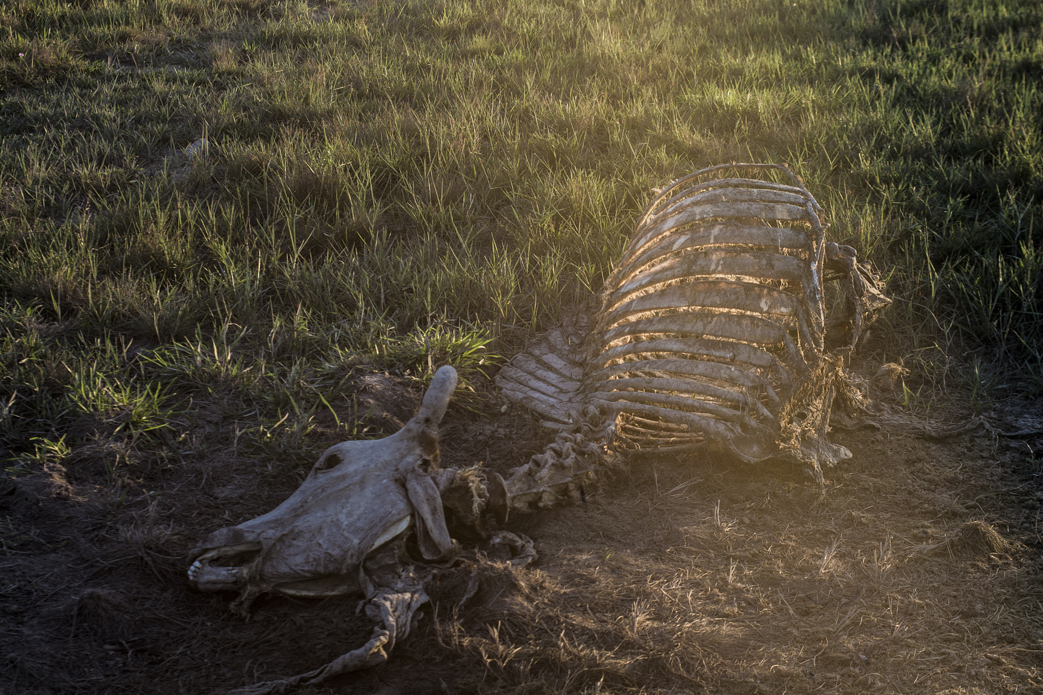 Canon EF 28-80mm f/2.8-4L sample photo. Time don´t forgive photography