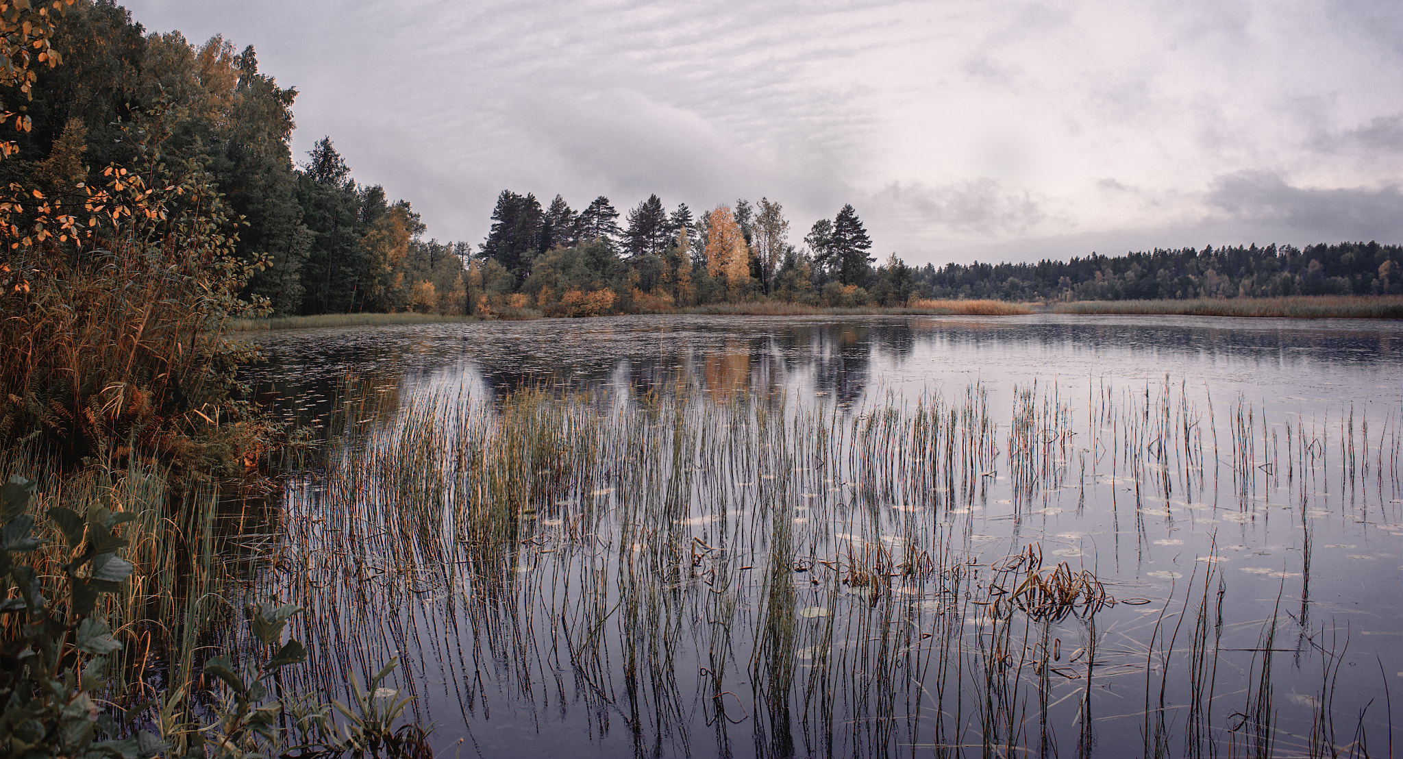 Nikon D700 + Nikon AF Nikkor 28mm F2.8D sample photo. Squirrel river photography