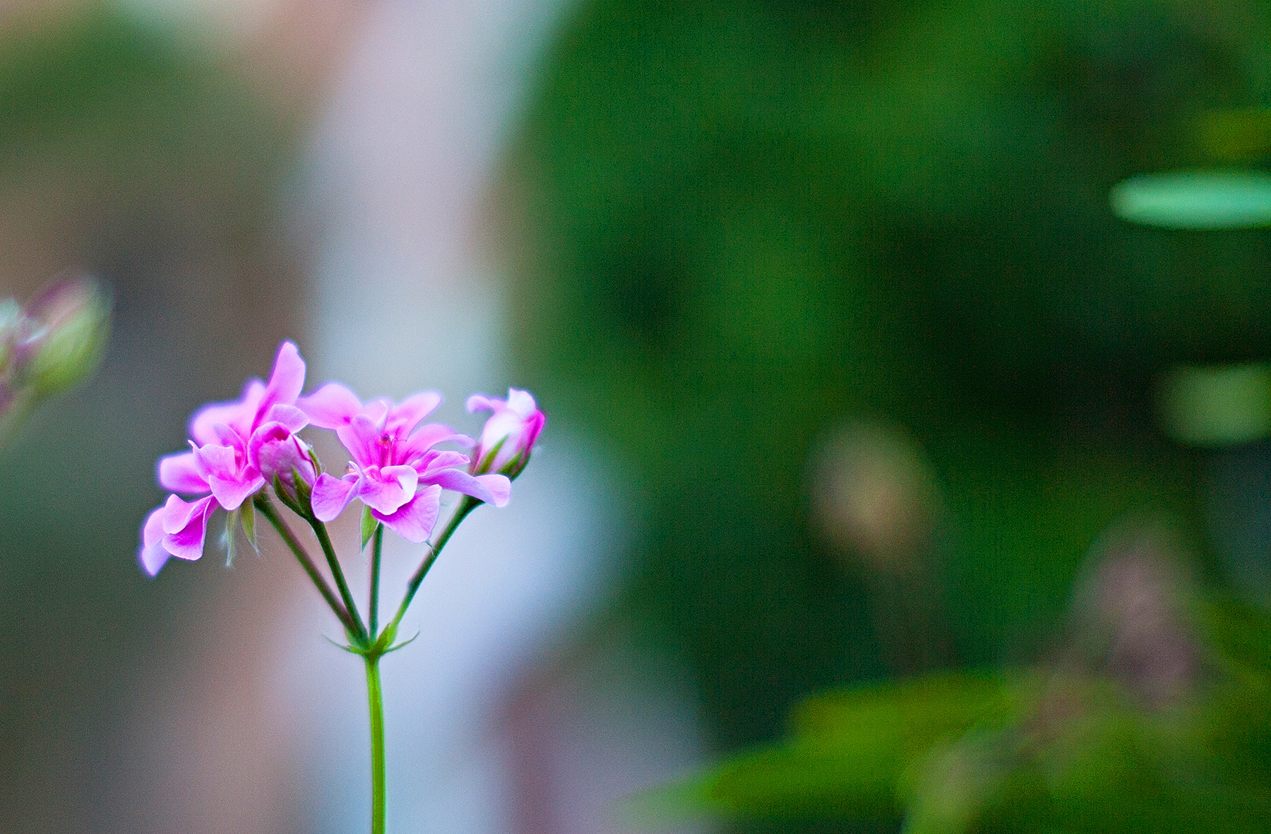 Sigma 50mm F1.4 EX DG HSM sample photo