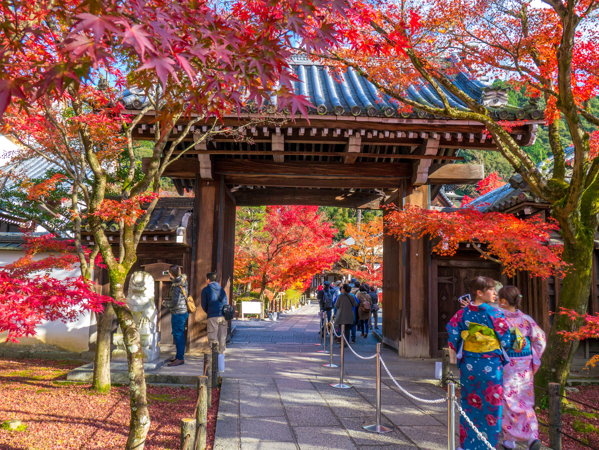 LUMIX G VARIO PZ 14-42/F3.5-5.6 sample photo. Doorway photography