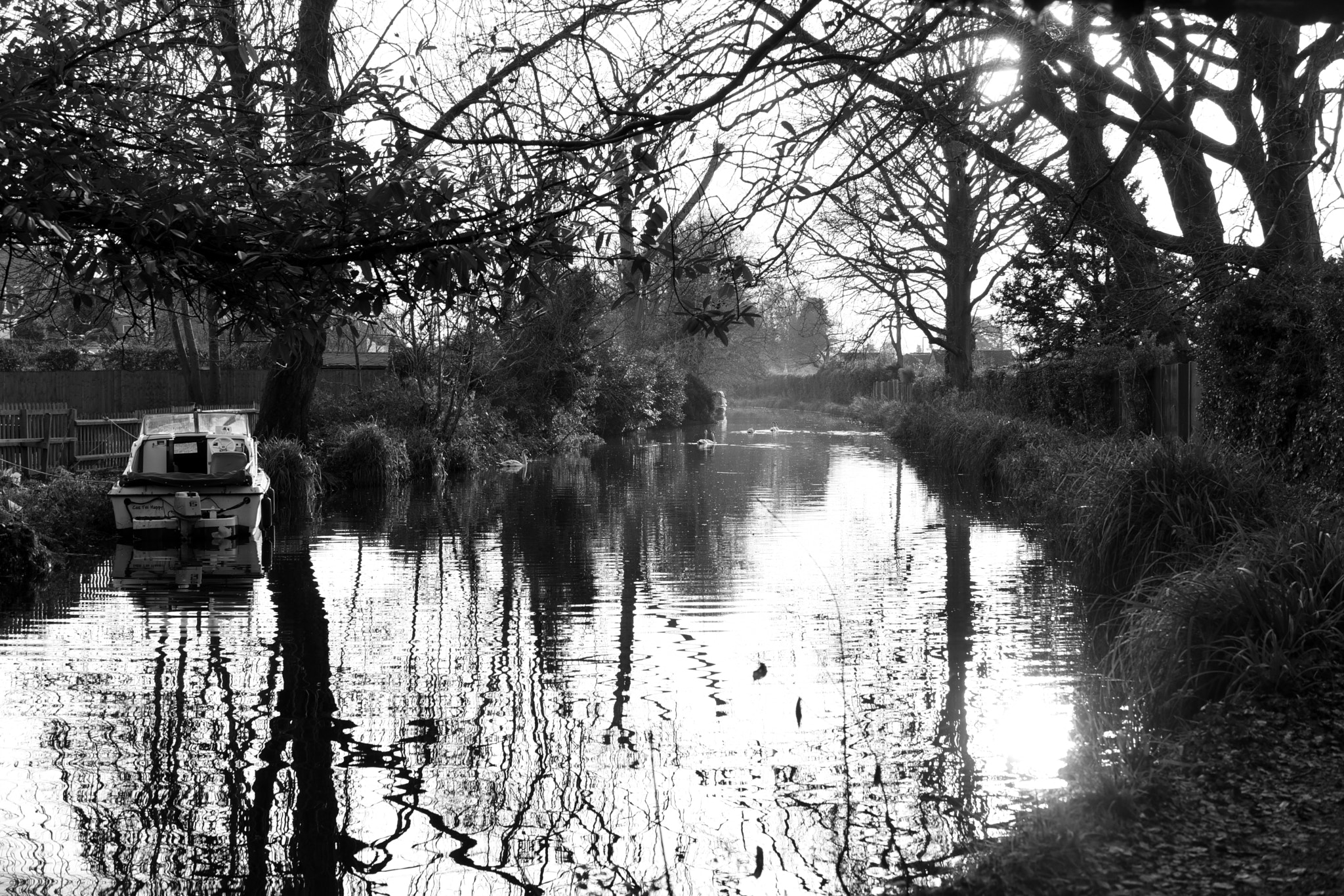 Sigma 50-500mm F4.5-6.3 DG OS HSM sample photo. Basingstoke canal ash vale-ash 27 december 2016 022 photography
