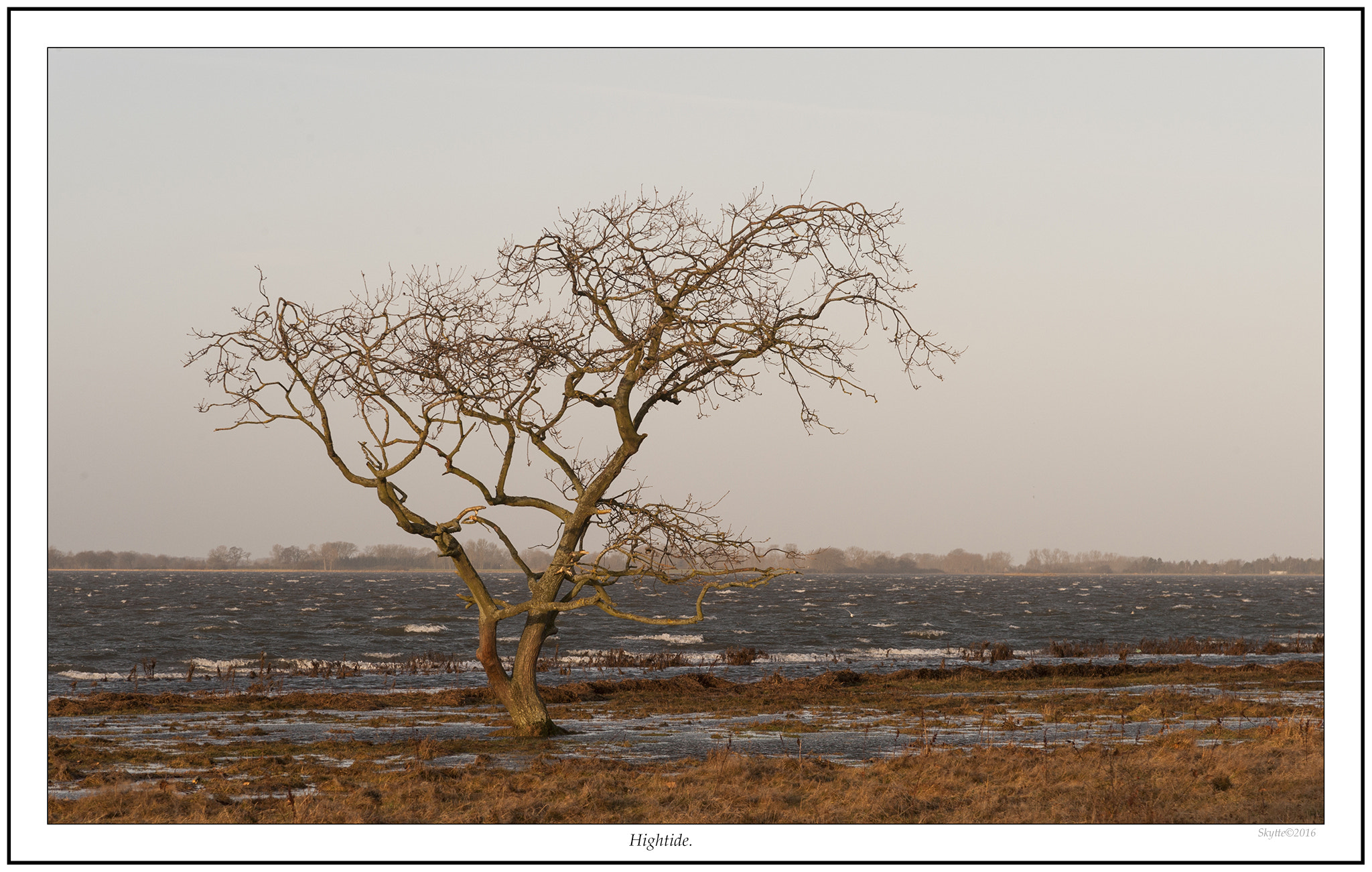Nikon D3 sample photo. Hightide photography