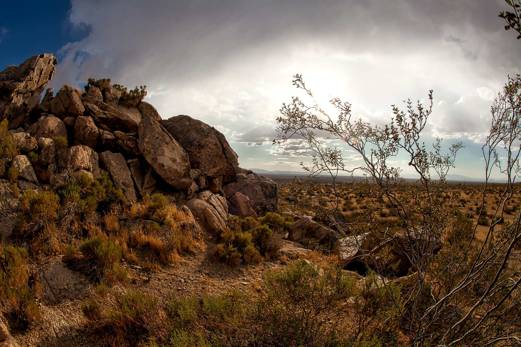 Canon EF 15mm F2.8 Fisheye sample photo. Desert scene photography