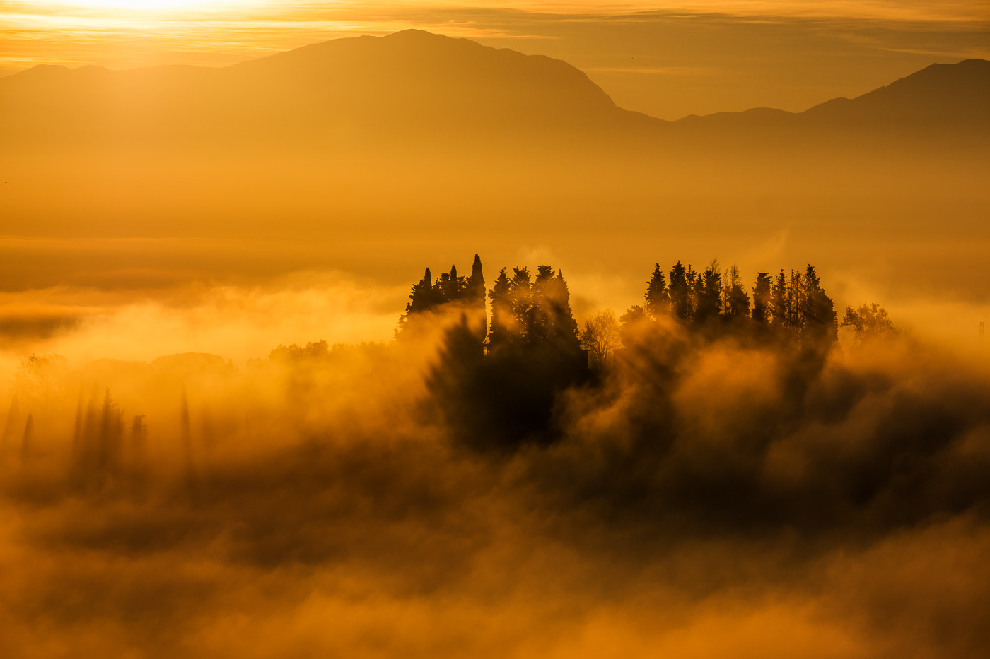 Fujifilm X-Pro2 + Fujifilm XF 55-200mm F3.5-4.8 R LM OIS sample photo. Golden umbria iii photography