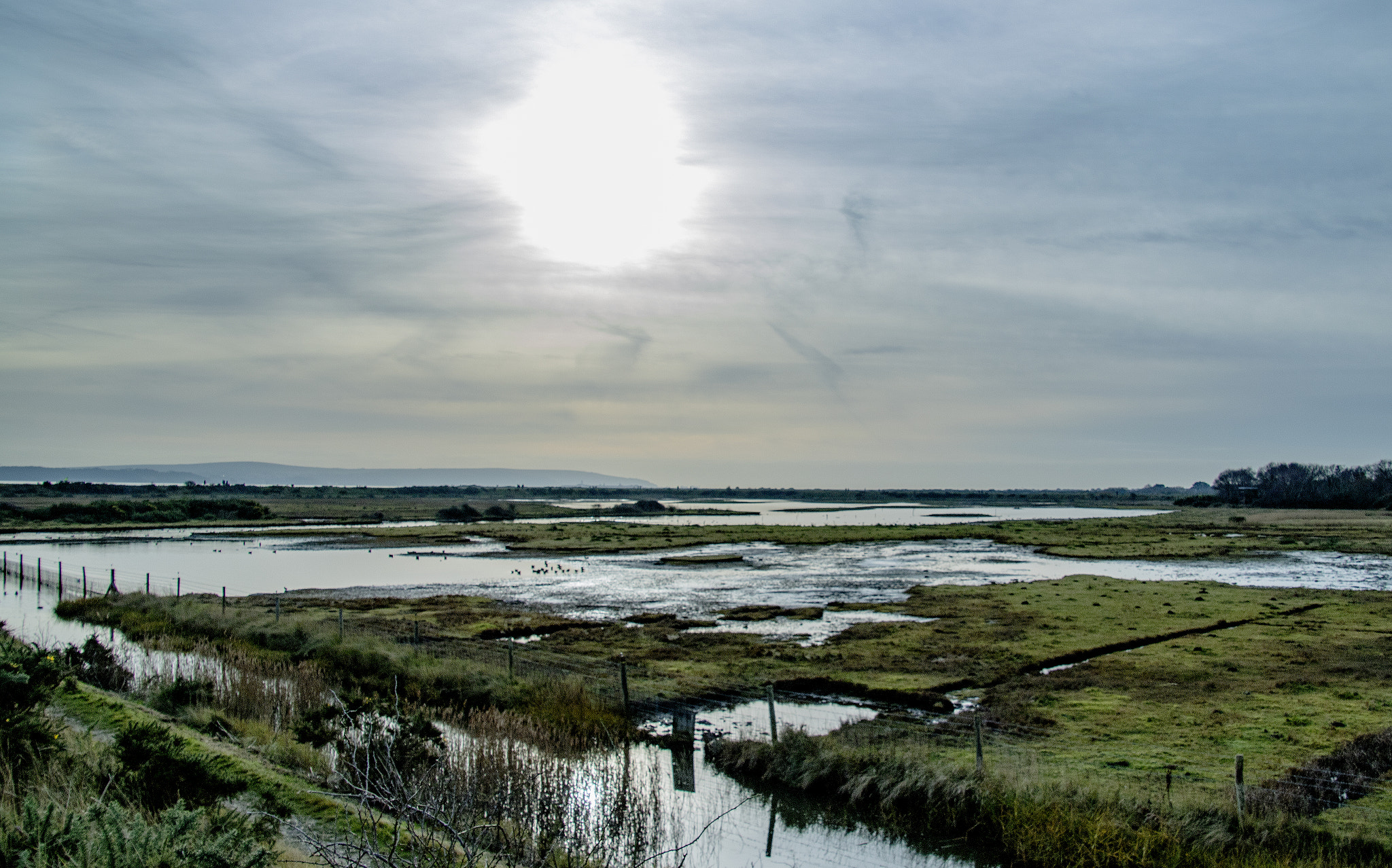 Canon EOS 750D (EOS Rebel T6i / EOS Kiss X8i) sample photo. Bird reserve lymington photography