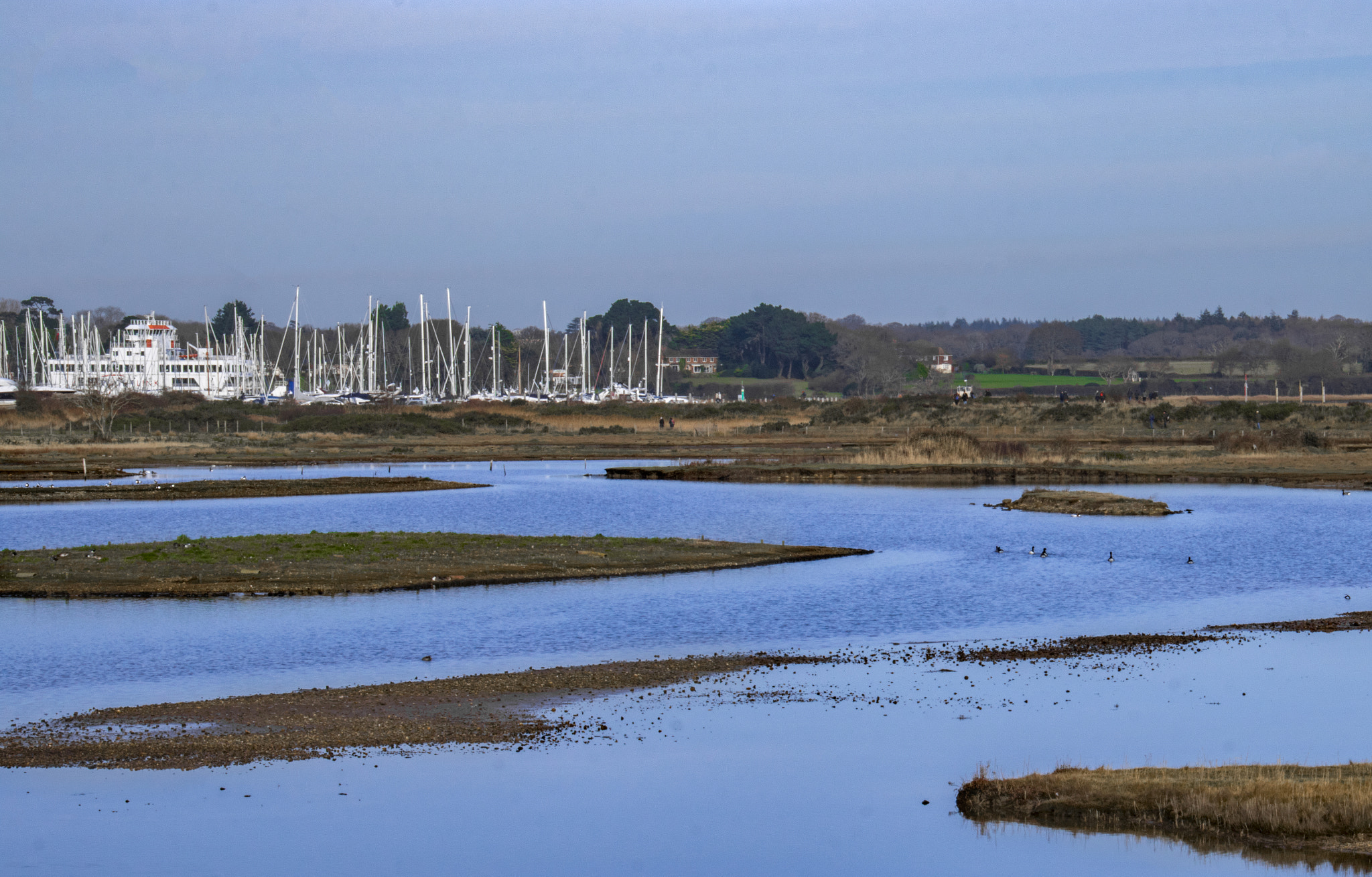 Canon EOS 750D (EOS Rebel T6i / EOS Kiss X8i) sample photo. Nature reserve and marina photography