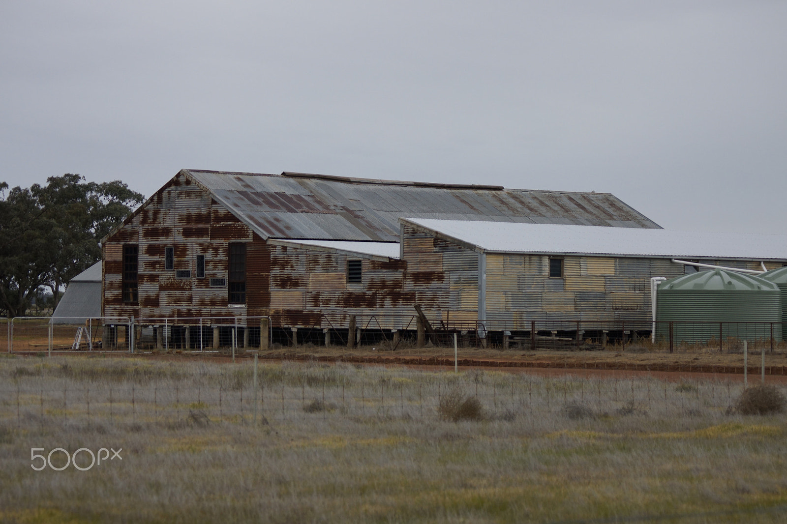 Sony SLT-A77 + Sony 70-400mm F4-5.6 G SSM sample photo. Elston woolshed-near wycheproof. photography