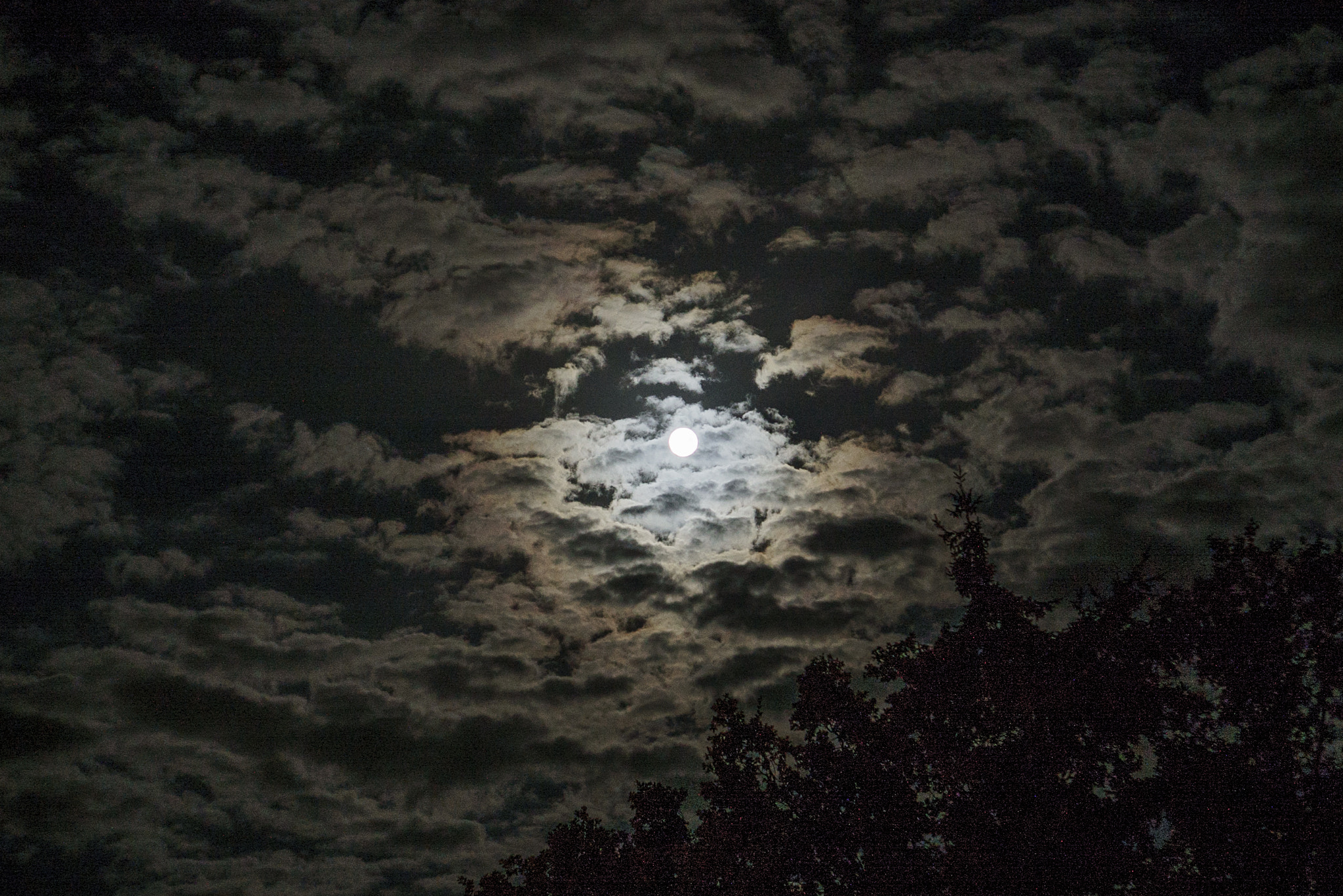 Sony a7S II + E 50mm F1.8 OSS sample photo. Small moon photography