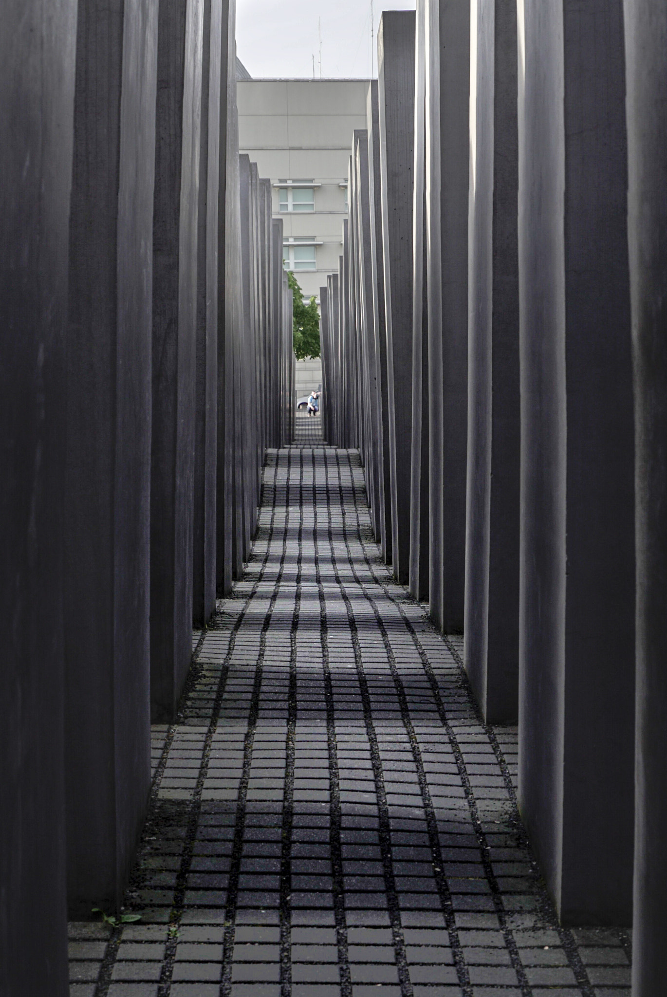 Sony a7S II + E 50mm F1.8 OSS sample photo. Memorial walk photography