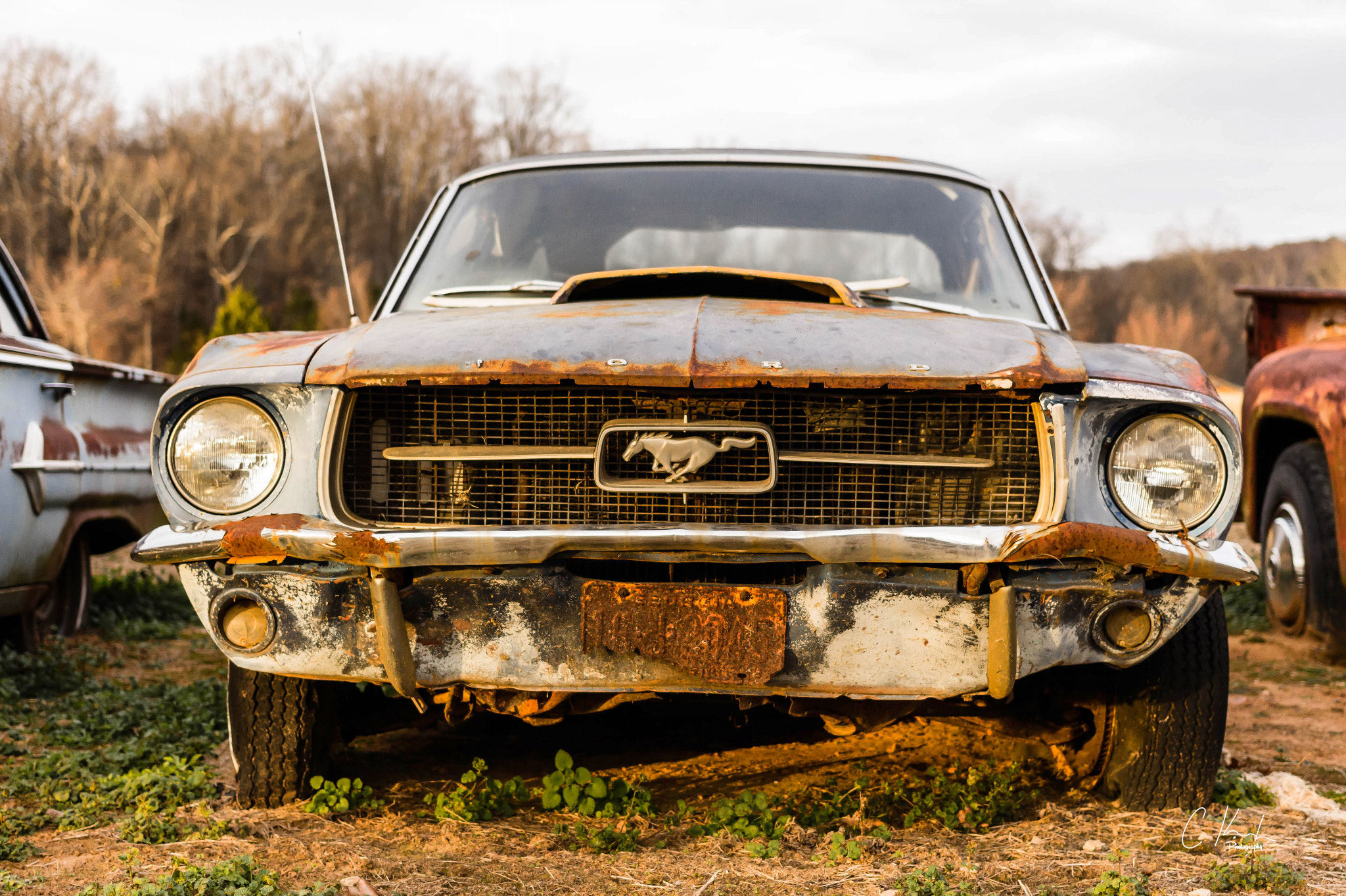 Canon EF 40mm F2.8 STM sample photo. Rusty mustang photography
