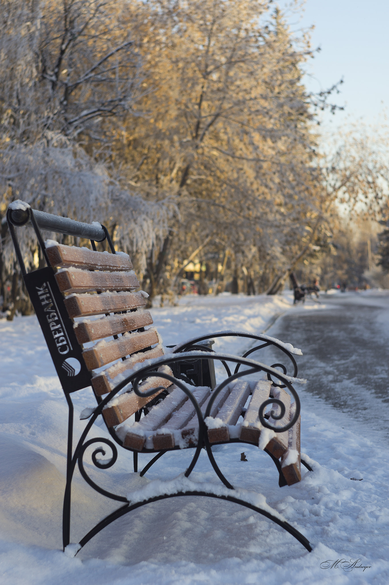 Sony Alpha DSLR-A580 + Minolta AF 50mm F1.7 sample photo. Winter mood photography
