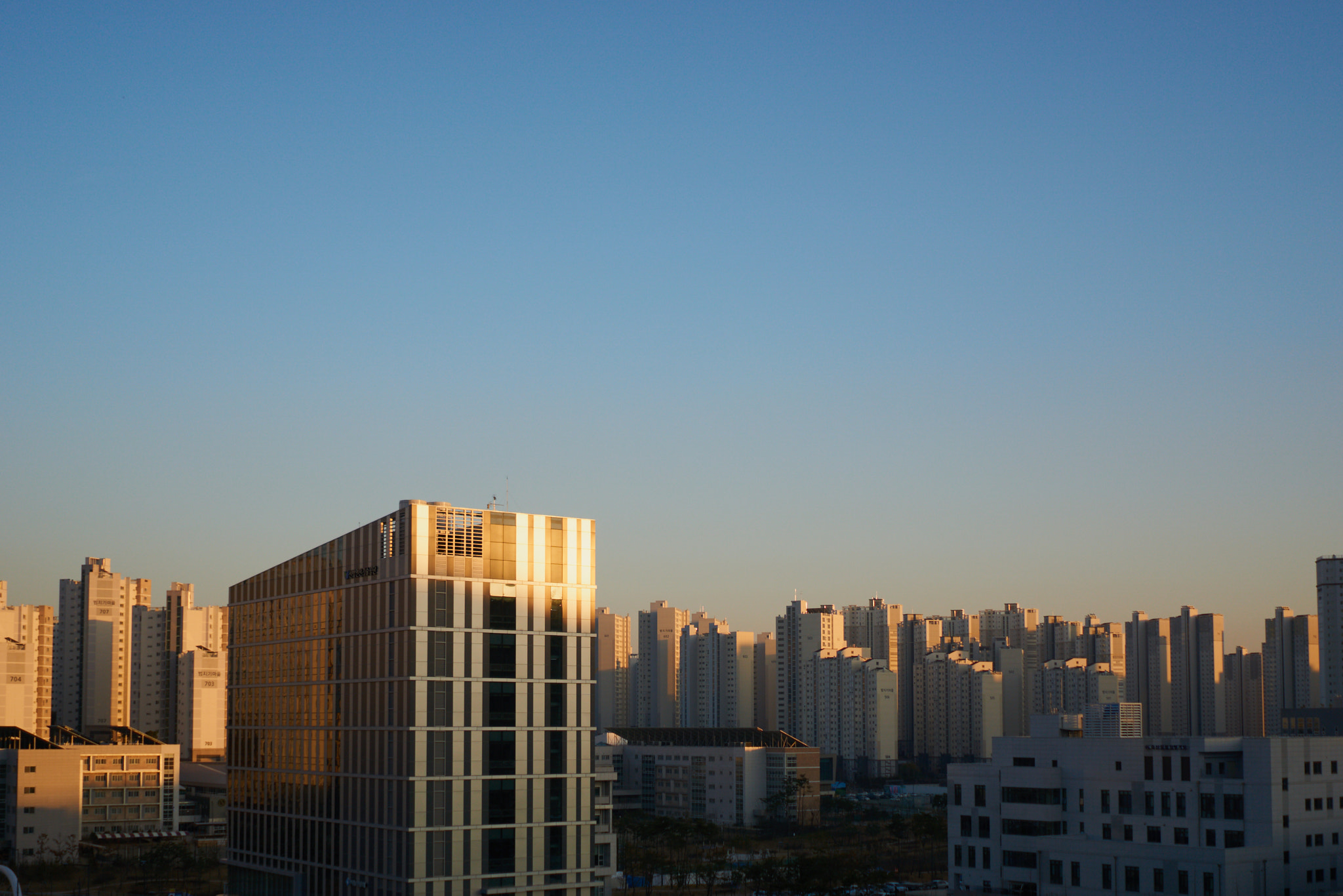 Sony FE 28mm F2 sample photo. Light photography