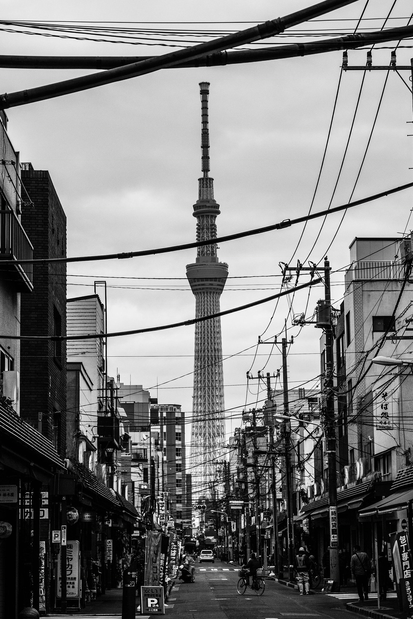 Panasonic Lumix DMC-GX8 + Olympus M.Zuiko Digital ED 12-40mm F2.8 Pro sample photo