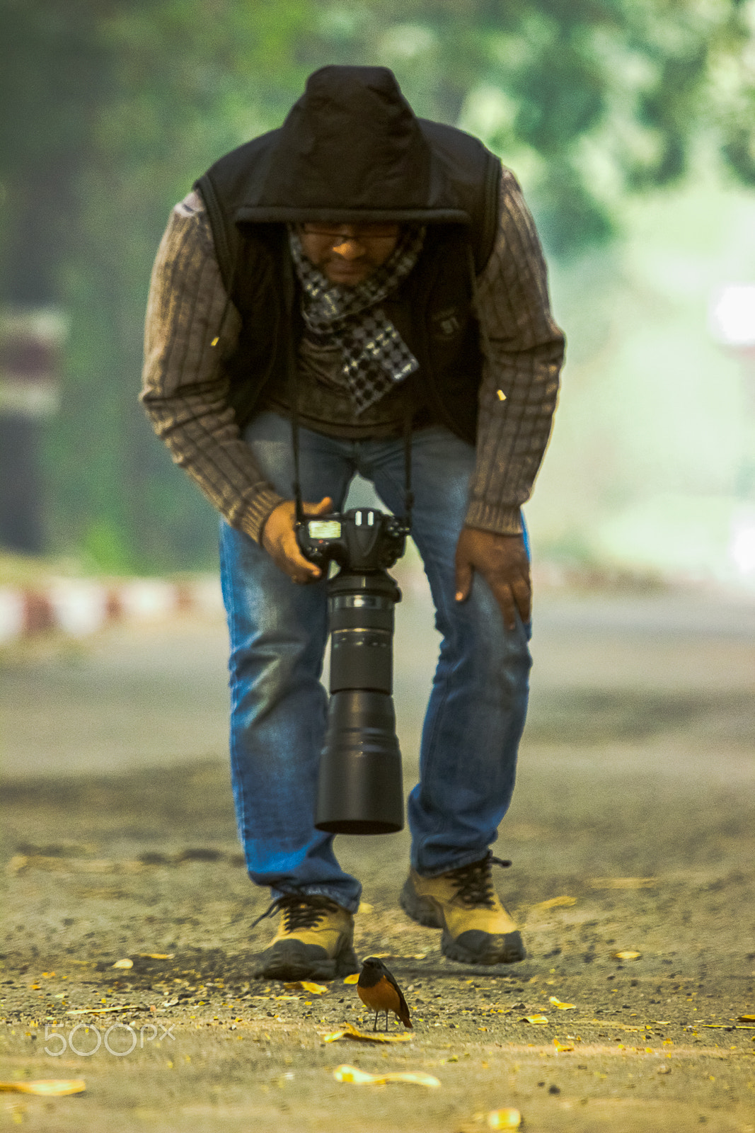 Canon EF 100-400mm F4.5-5.6L IS USM sample photo. In action with redstart photography