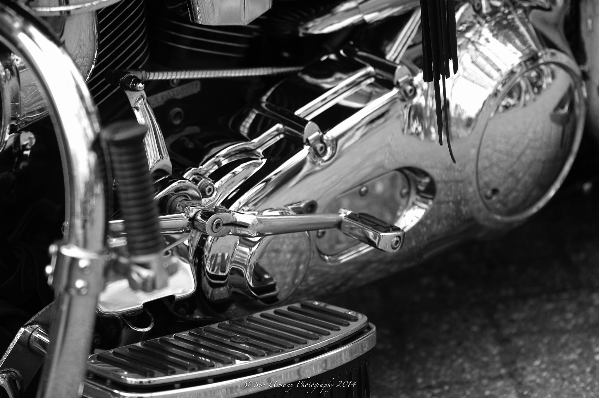 Sigma 70-200mm F2.8 EX DG Macro HSM II sample photo. Harley day 2014 photography