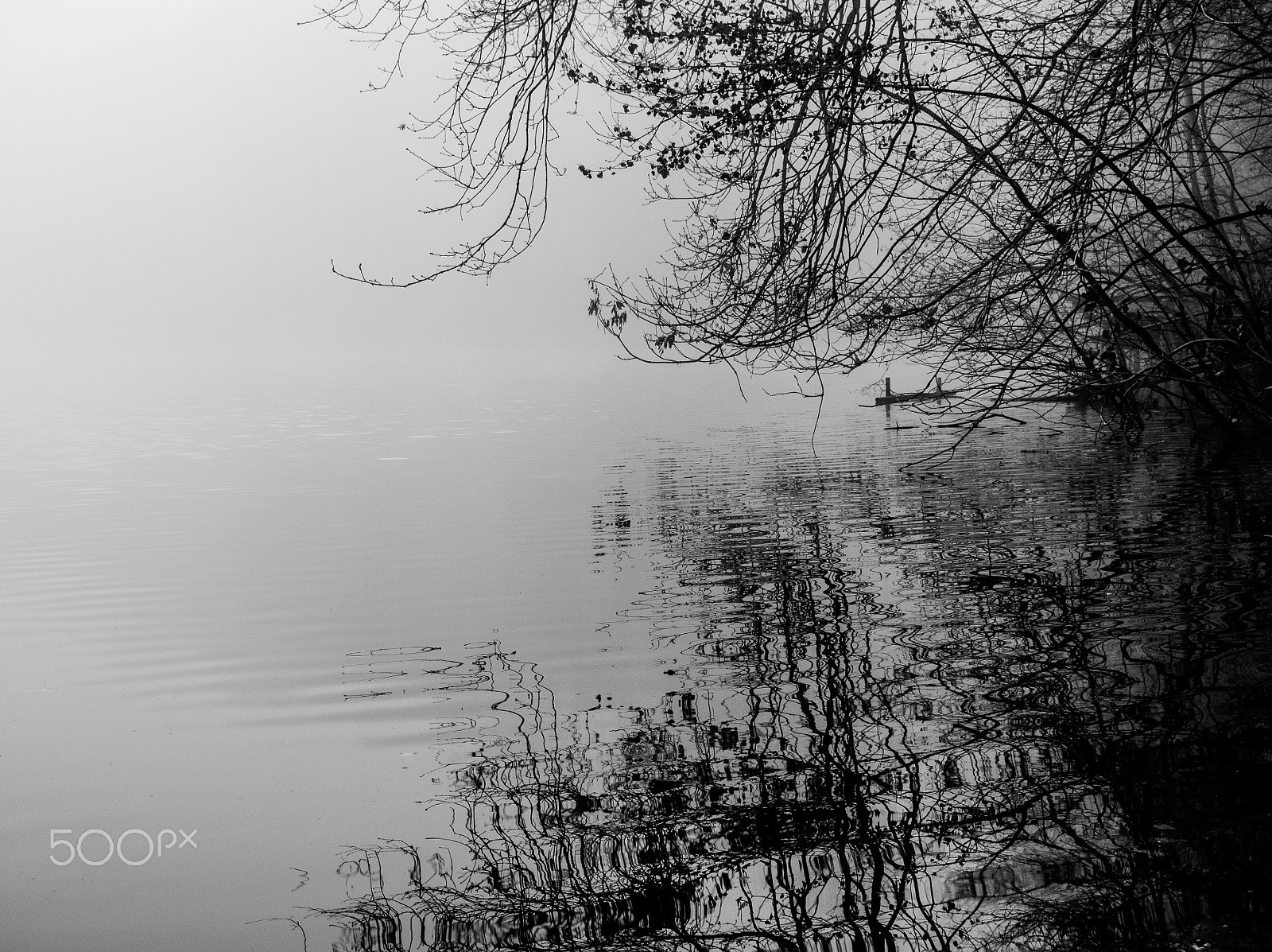 Olympus M.Zuiko Digital 14-42mm F3.5-5.6 II R sample photo. Black and withe lake photography