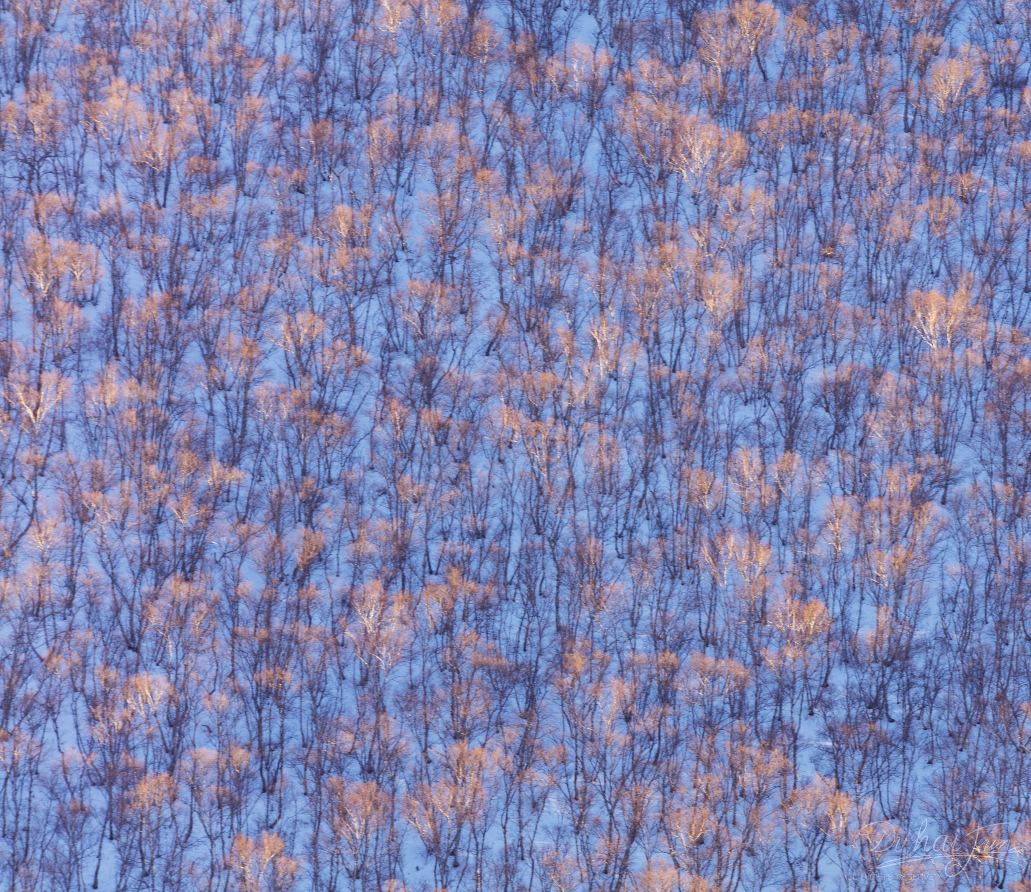 150-600mm F5-6.3 DG OS HSM | Contemporary 015 sample photo