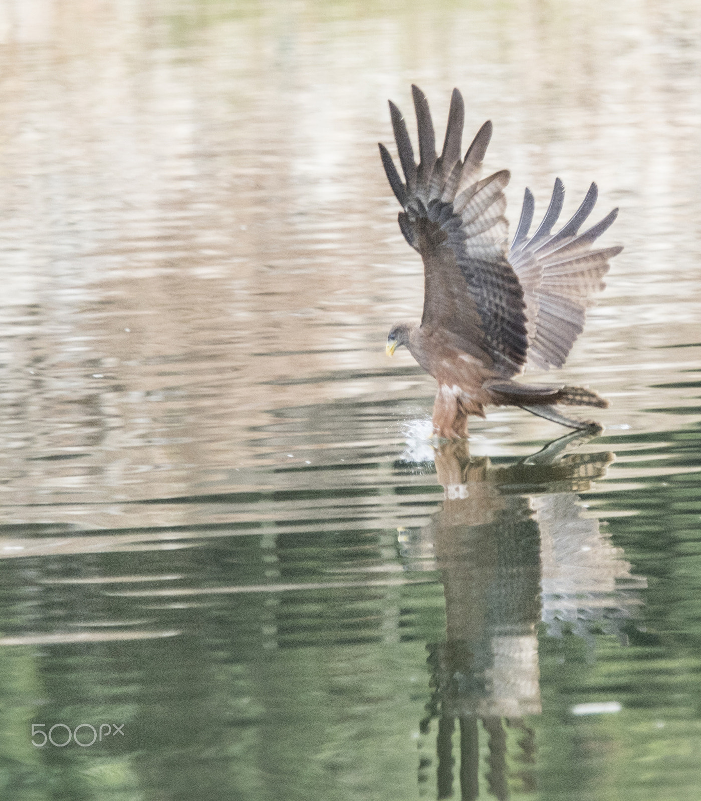 Canon EOS 7D Mark II sample photo. Another kinb of fisherman photography