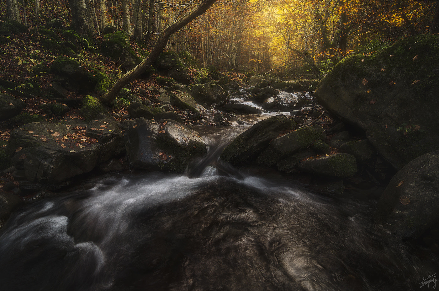 Tokina AT-X Pro 11-16mm F2.8 DX sample photo. Nature flow photography