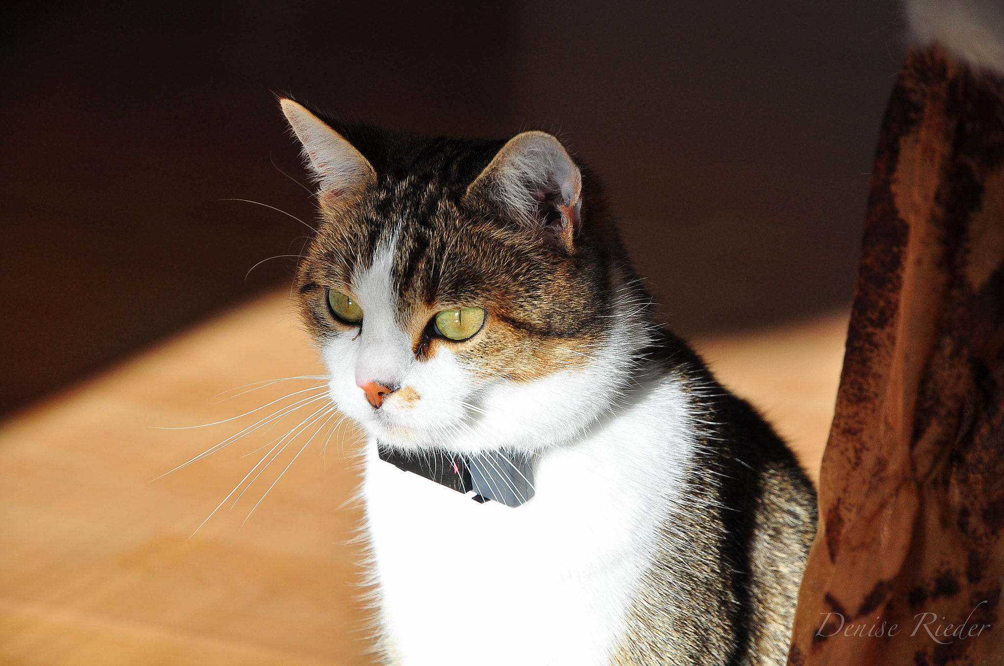 Nikon D5000 sample photo. Light and shadow photography