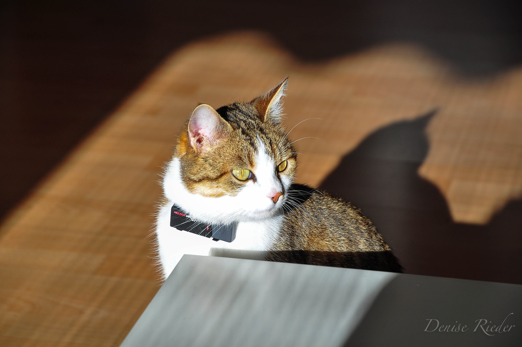 Nikon D5000 sample photo. Light and shadow photography