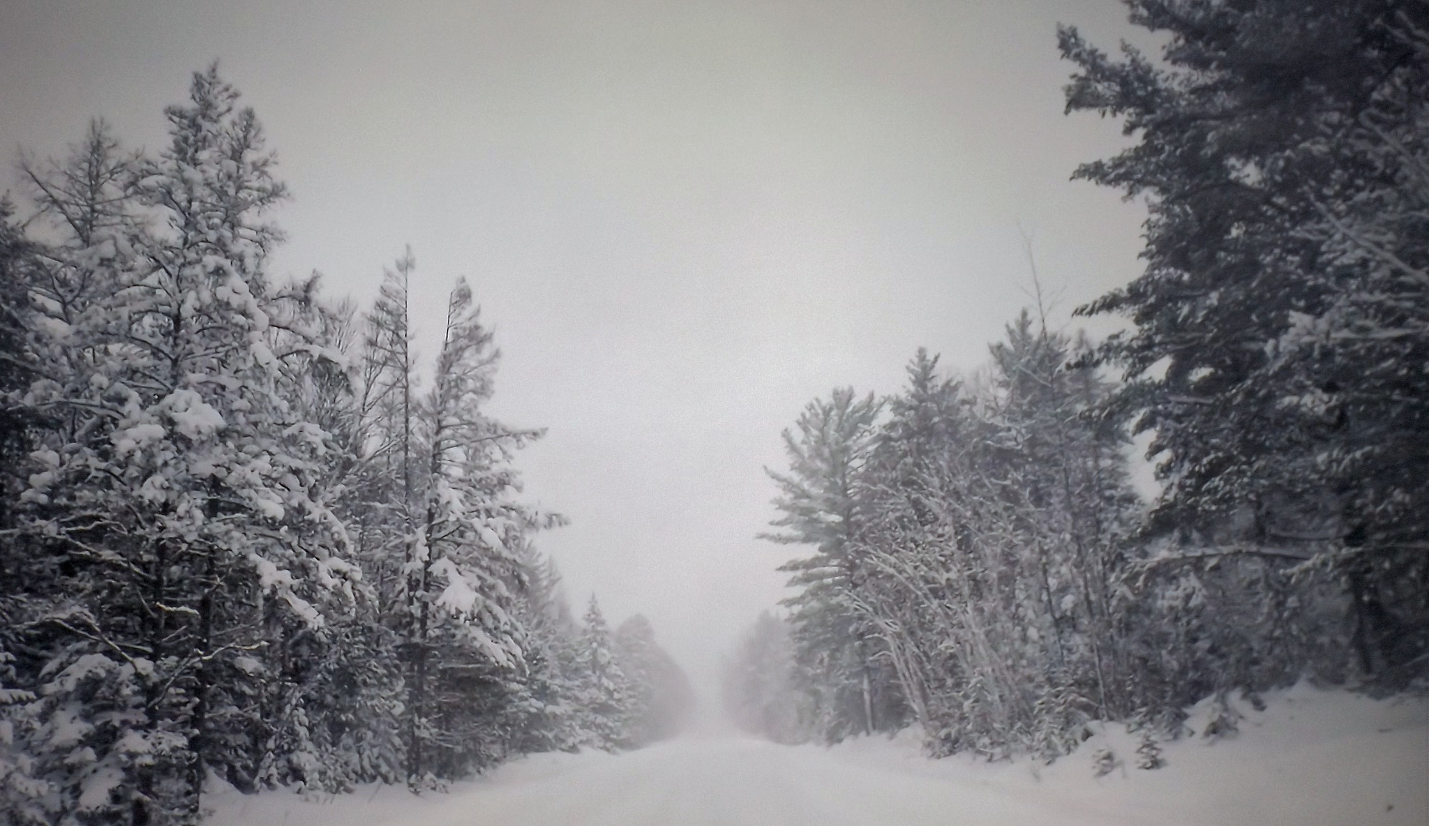 Fujifilm FinePix S4830/Walmart sample photo. Snow beauty photography