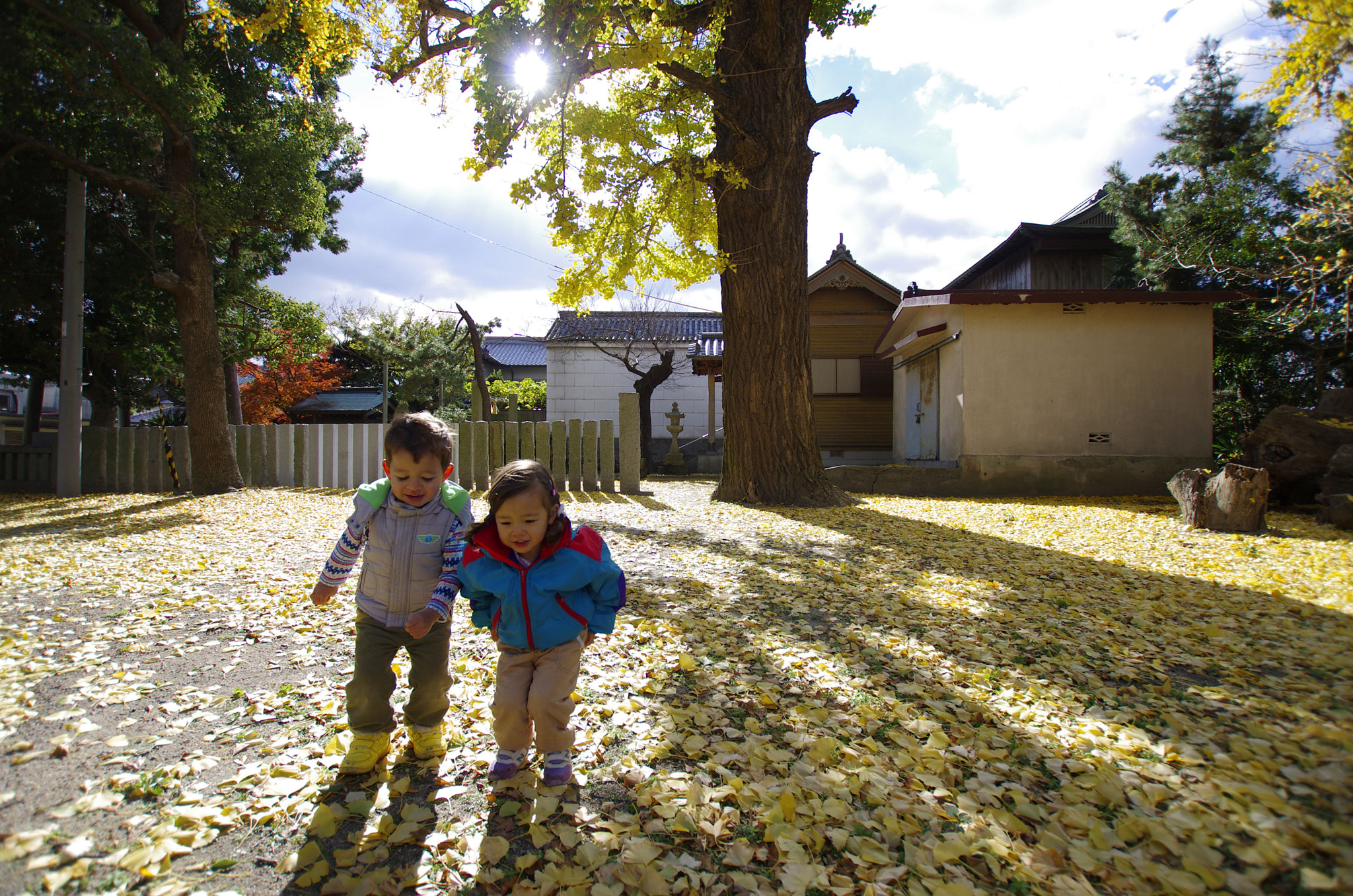 Sigma 10-20mm F3.5 EX DC HSM sample photo. Igp photography
