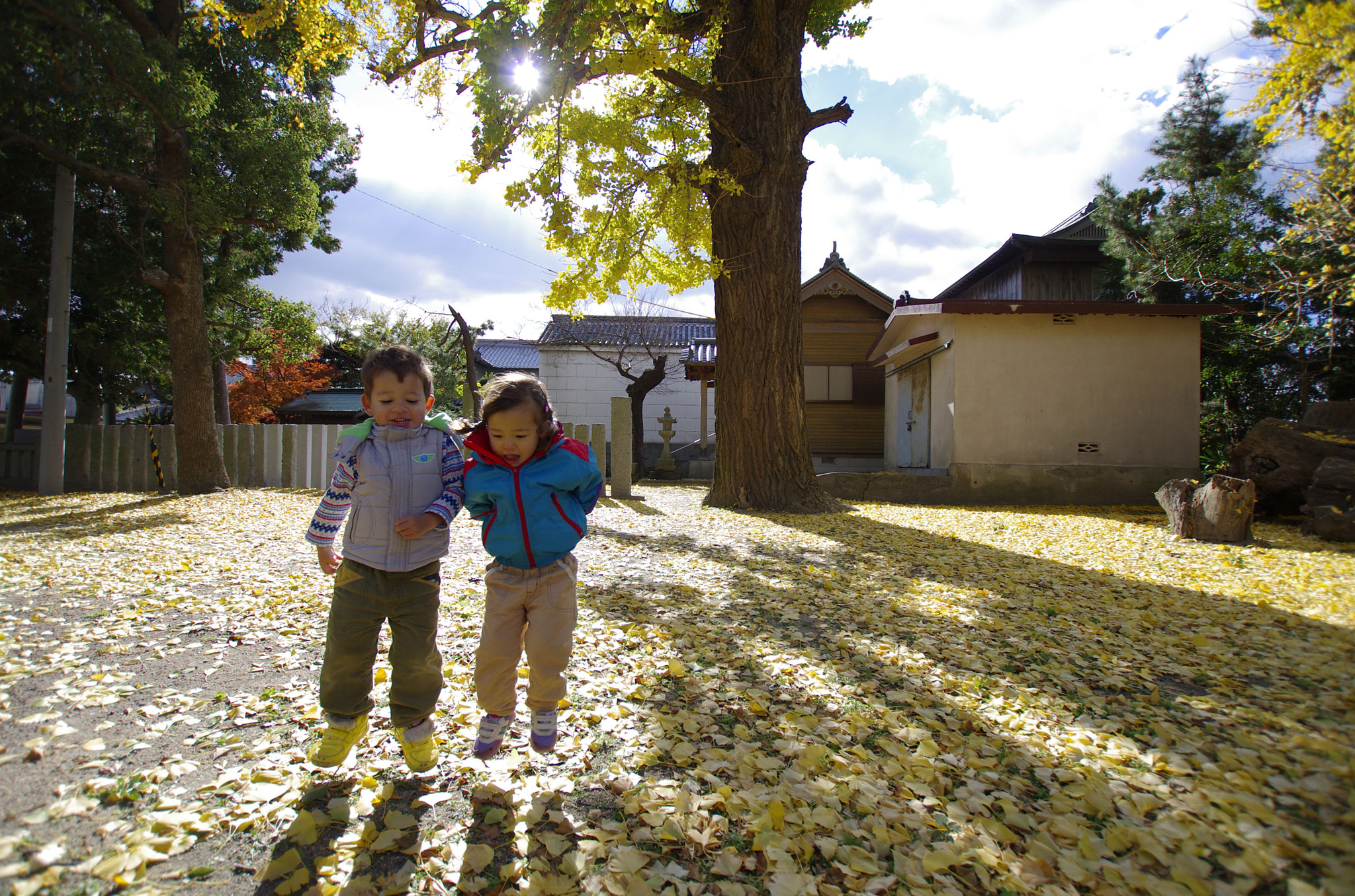 Sigma 10-20mm F3.5 EX DC HSM sample photo. Igp photography