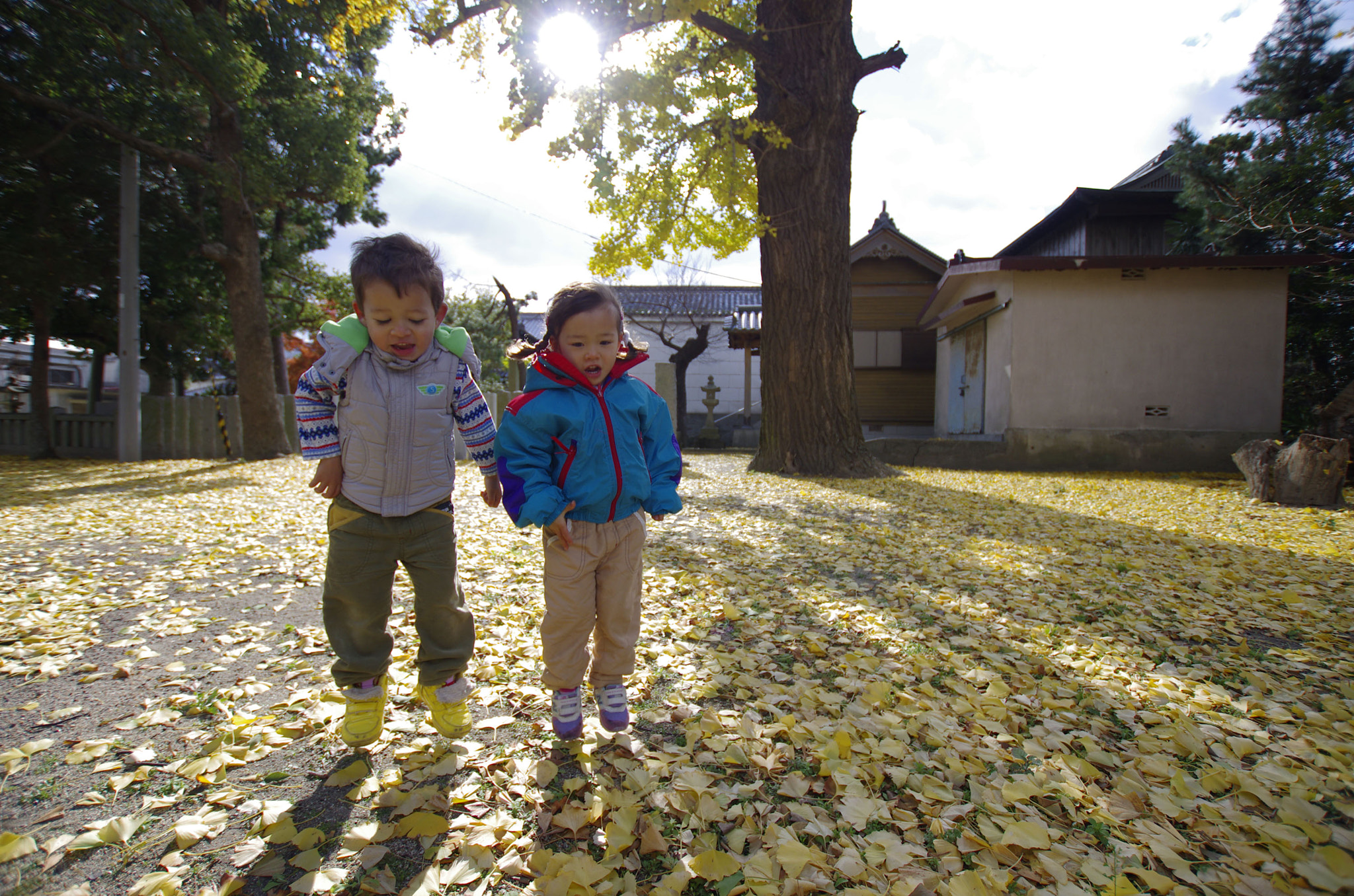 Sigma 10-20mm F3.5 EX DC HSM sample photo. Igp photography