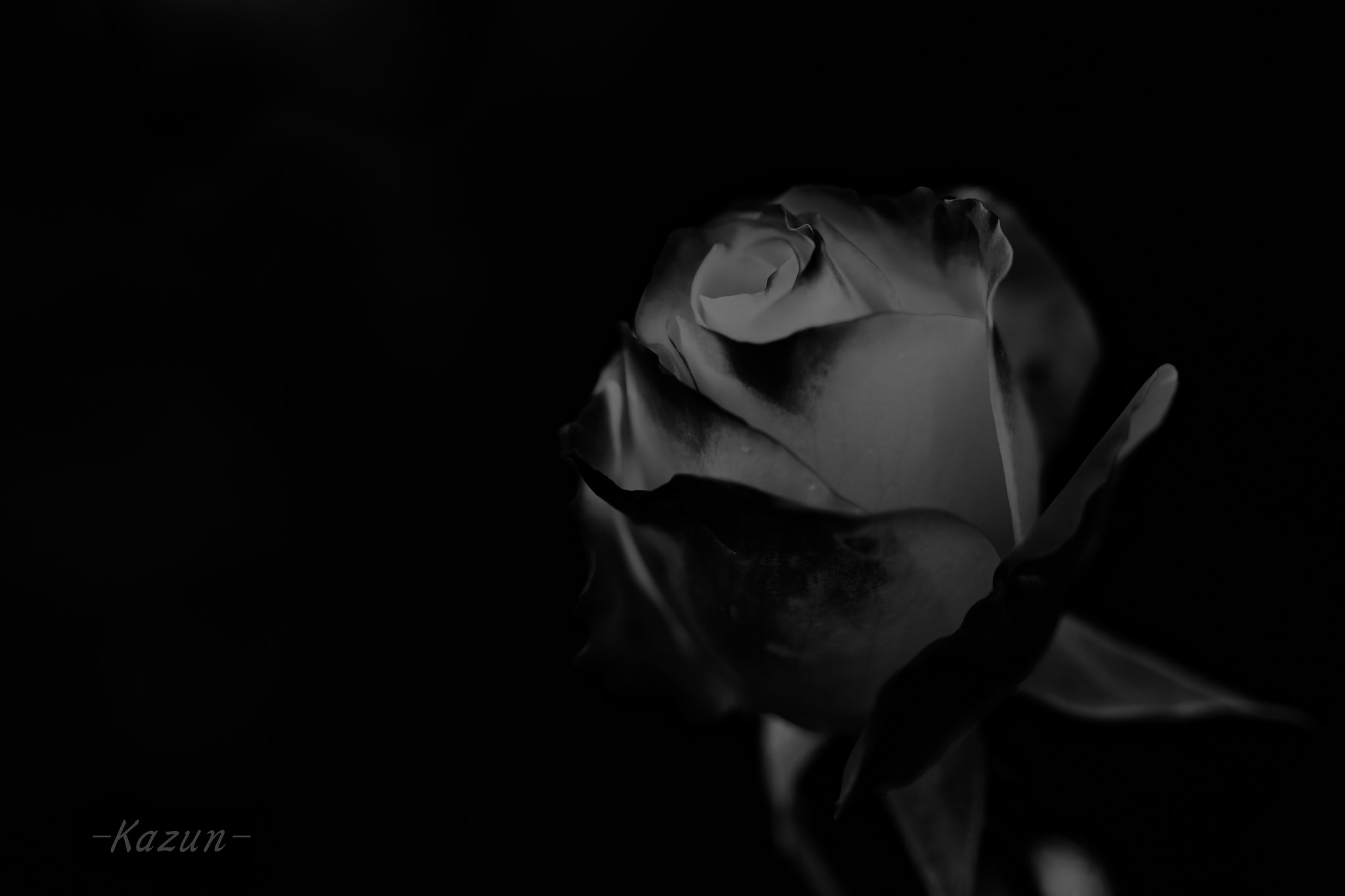 Canon EF 100mm F2.8L Macro IS USM sample photo. The silent night photography