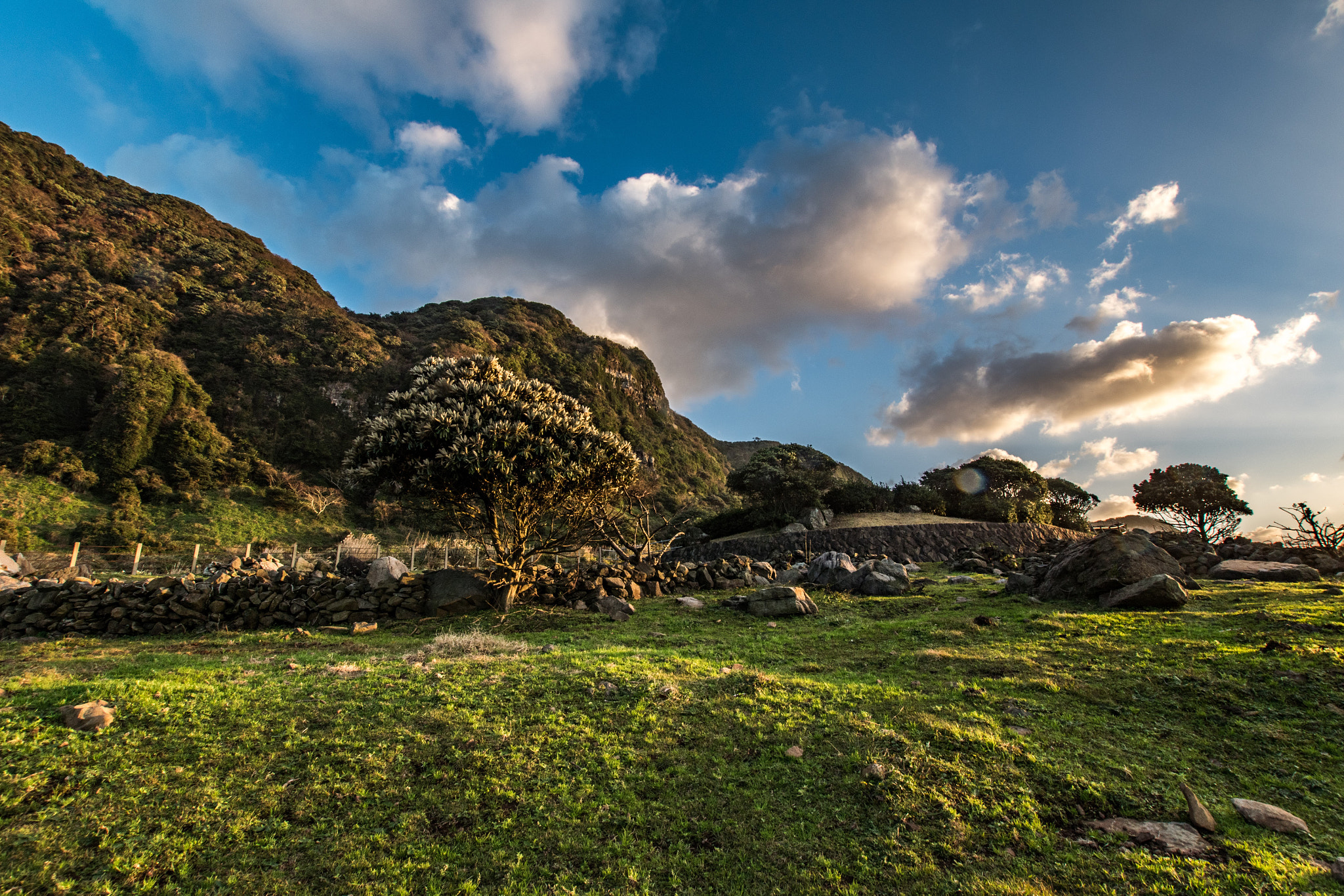 Nikon D5500 + Sigma 10-20mm F3.5 EX DC HSM sample photo