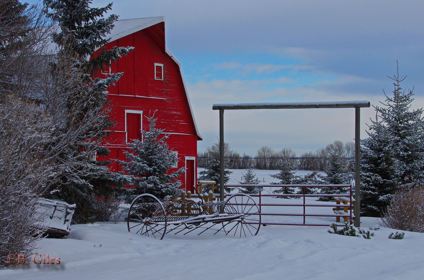 Pentax K-5 IIs sample photo. Ready for christmas photography