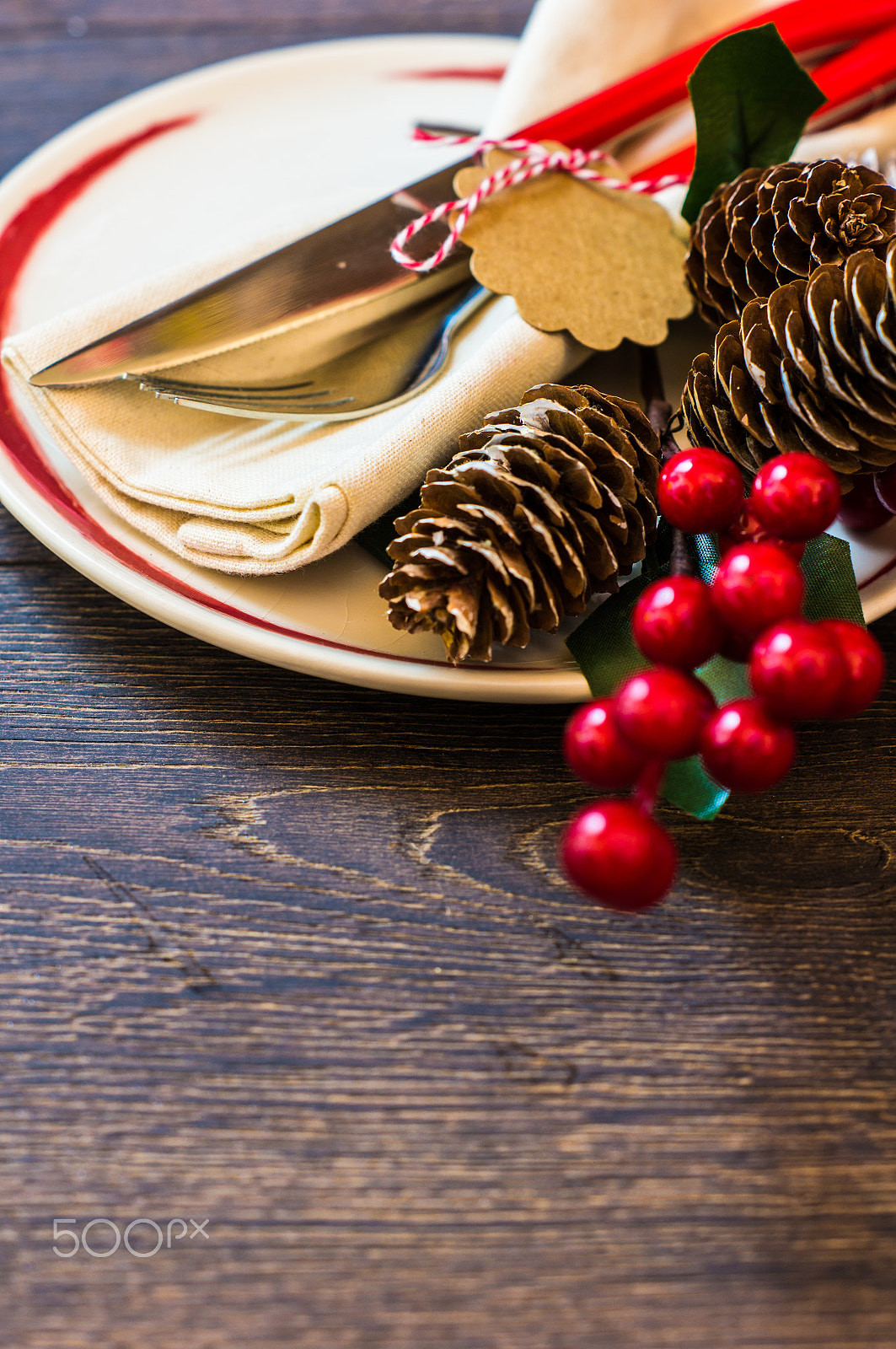 Sony SLT-A55 (SLT-A55V) + Sony DT 50mm F1.8 SAM sample photo. Rustic table setting for christmas eve photography