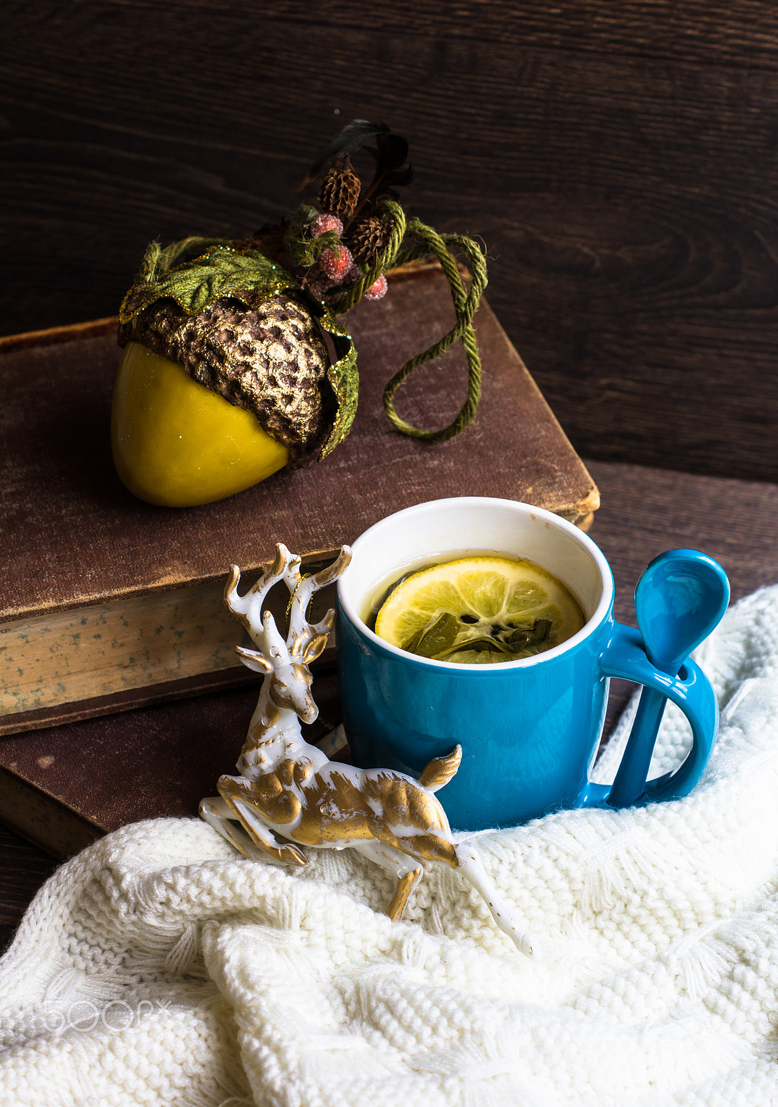 Sony SLT-A55 (SLT-A55V) + Sony DT 50mm F1.8 SAM sample photo. Spiced tea in cold time photography