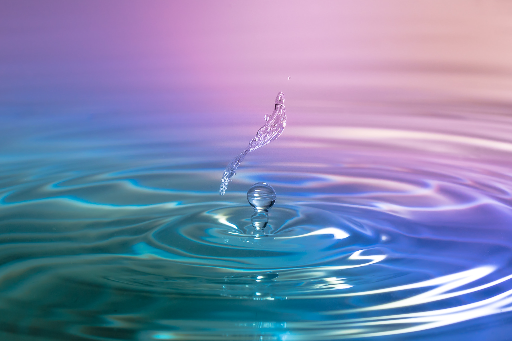 Sony a7 II + Canon EF 100mm F2.8L Macro IS USM sample photo. The elegance of water photography