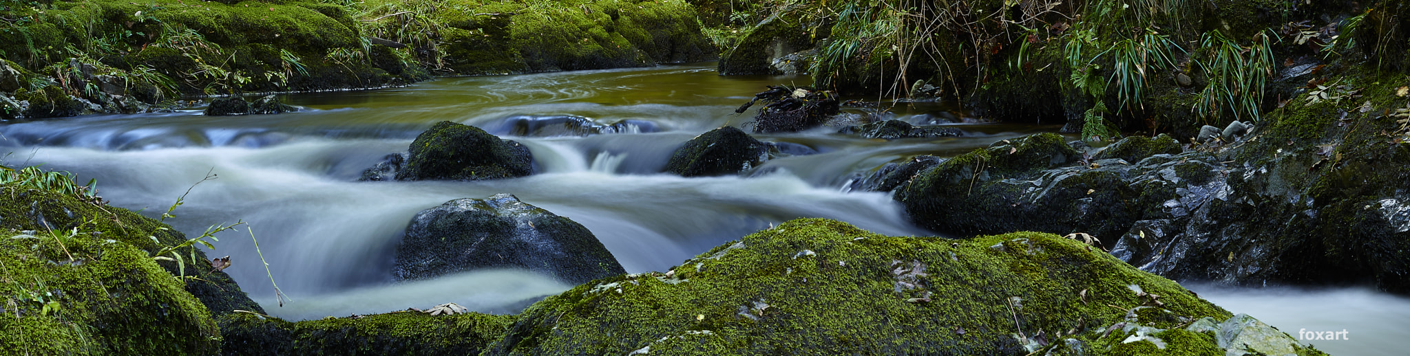 Phase One P40+ sample photo. Lake district photography