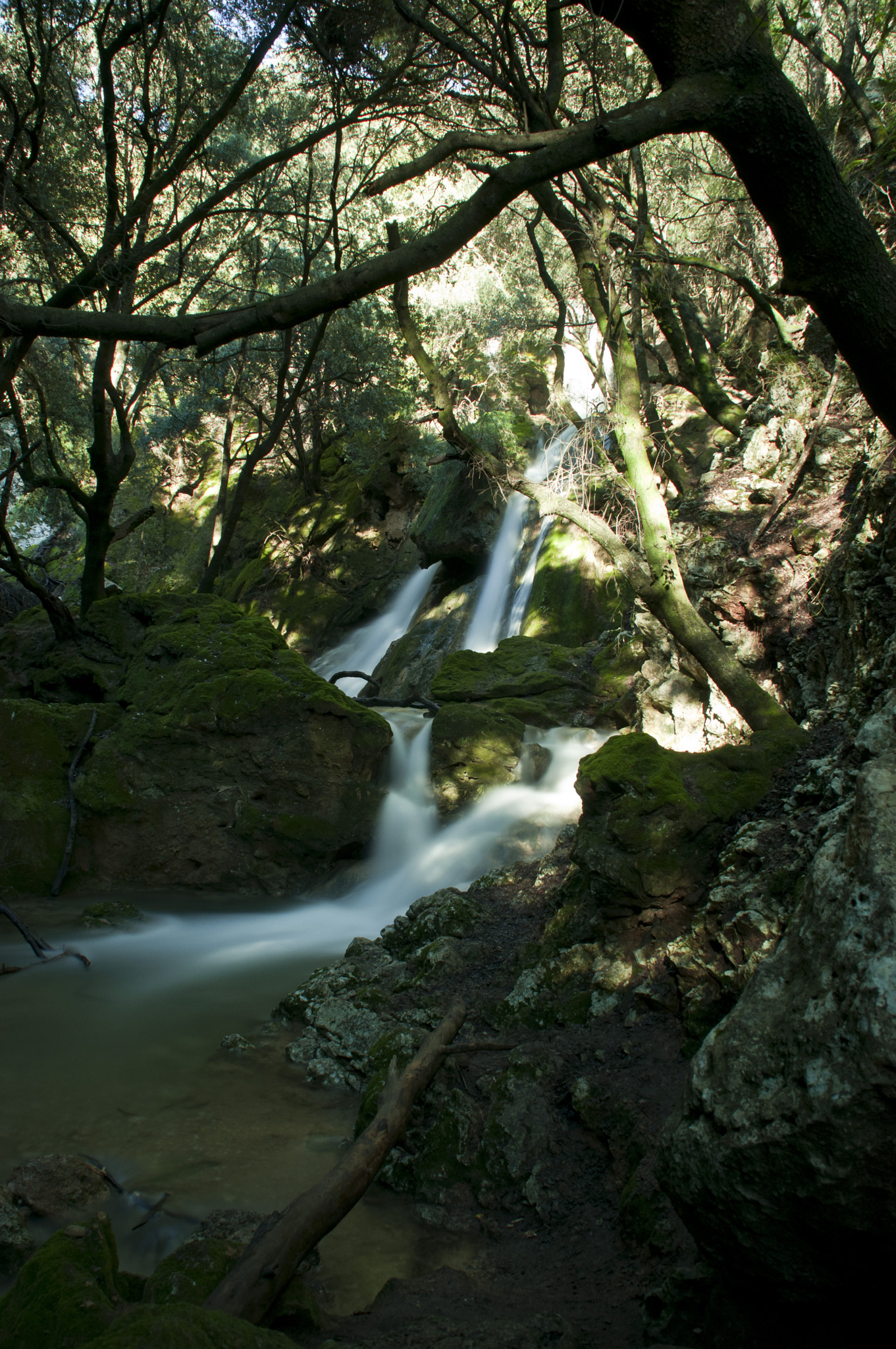 Nikon D5000 sample photo. Donde viven las hadas photography