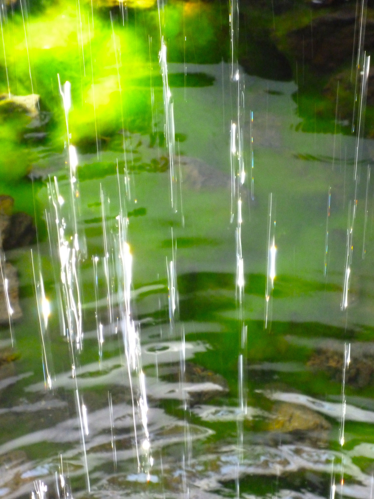 Panasonic DMC-S3 sample photo. P photography