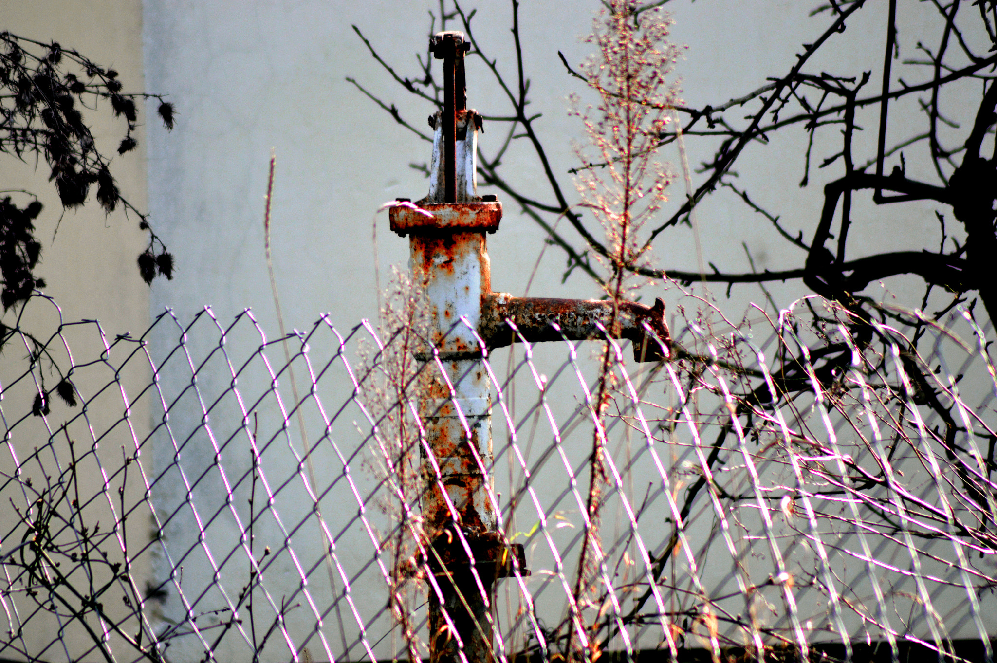 Nikon AF Nikkor 70-300mm F4-5.6G sample photo. The forgotten ;  the old fountain for water photography