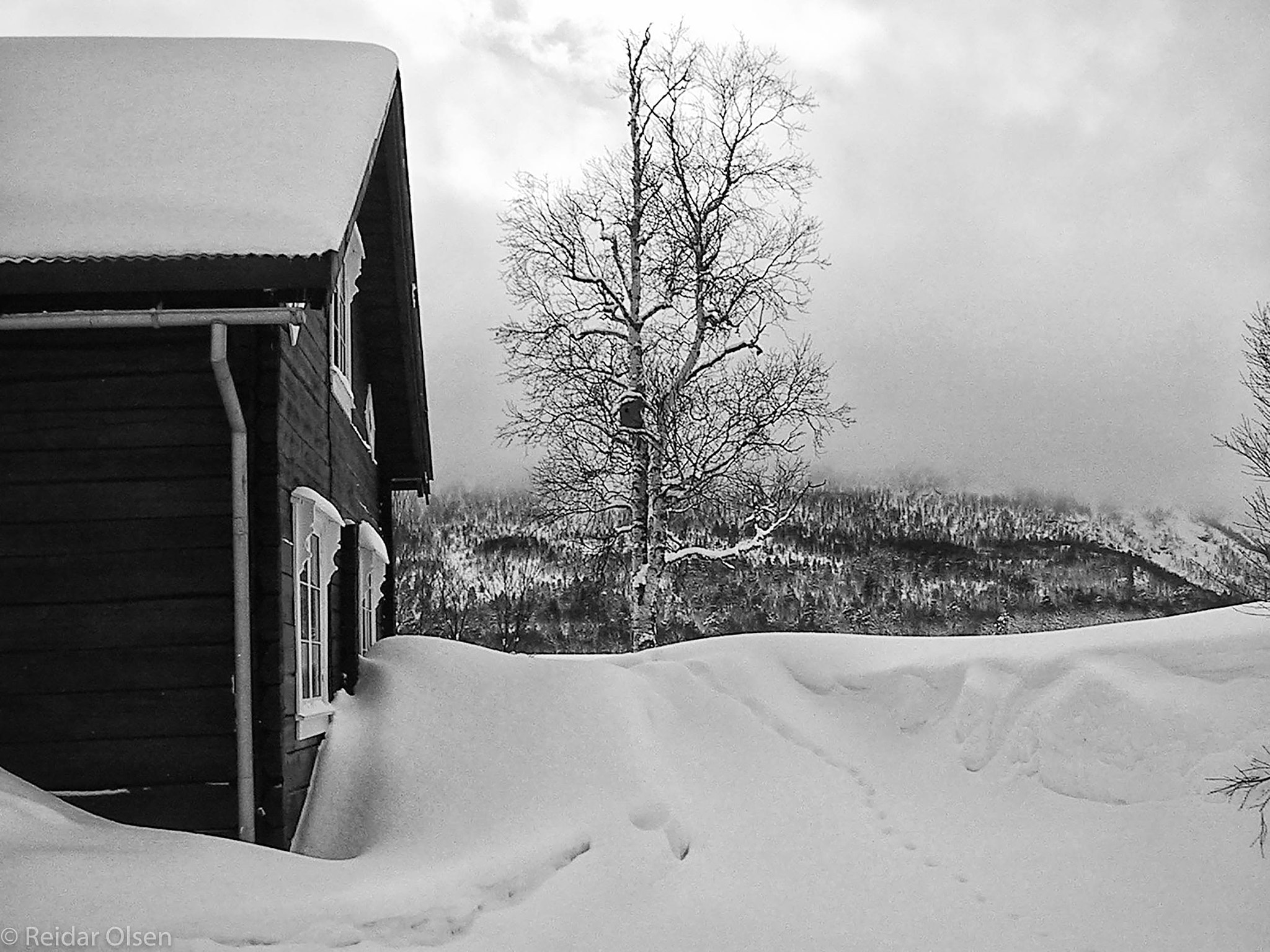 Canon DIGITAL IXUS sample photo. Snow... photography