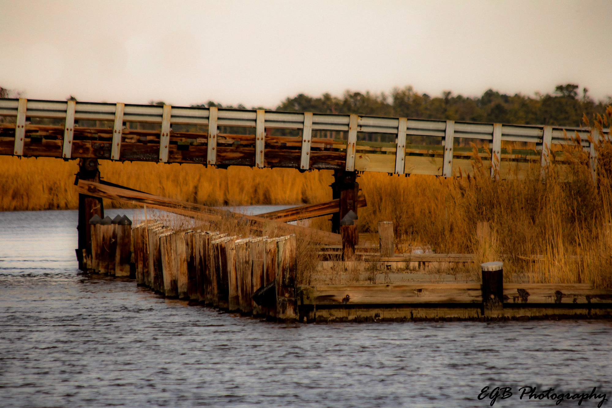 Canon EF 70-300mm F4-5.6 IS USM sample photo. Over water photography