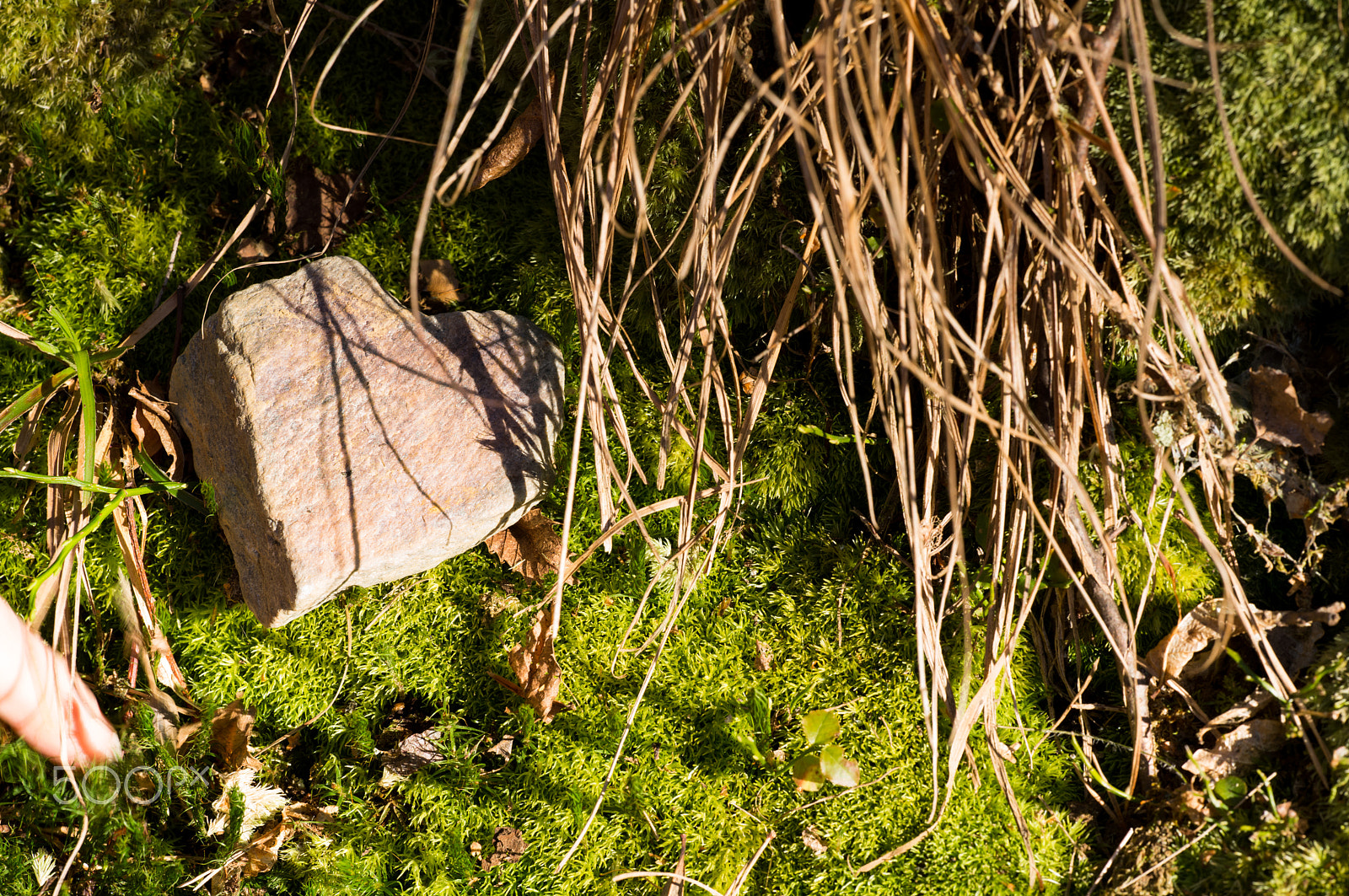 Leica S (TYP 006) sample photo. L photography