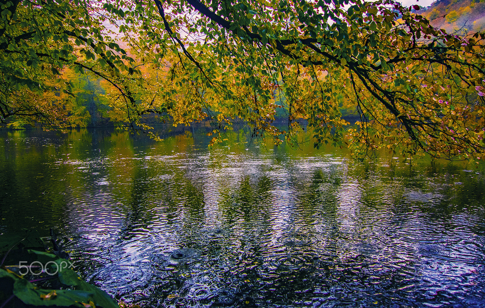 Pentax K-3 II + Pentax smc DA 12-24mm F4.0 ED AL (IF) sample photo. Reflecteds from the autumun photography