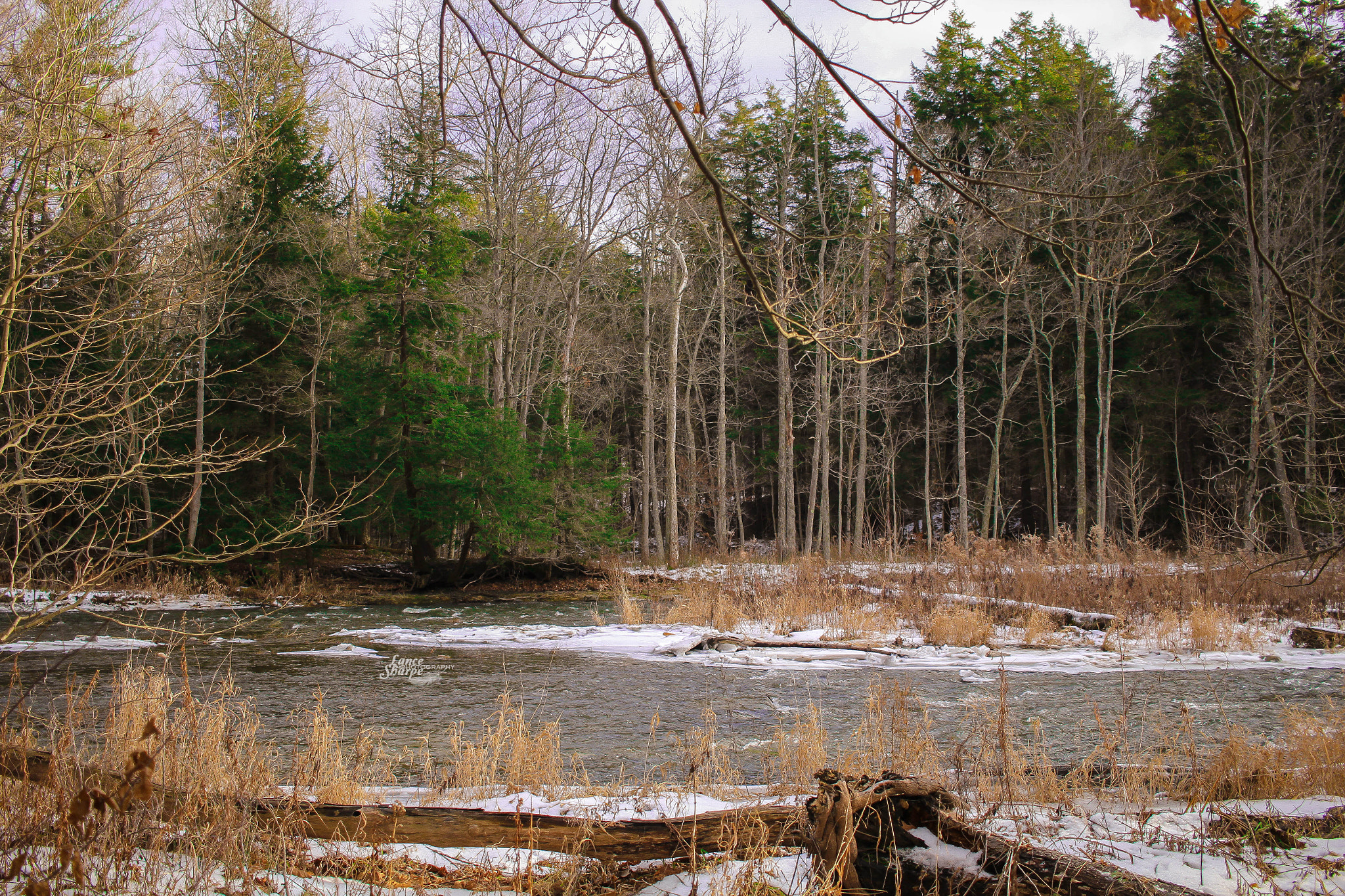 Canon EF-S 24mm F2.8 STM sample photo. Gently down photography