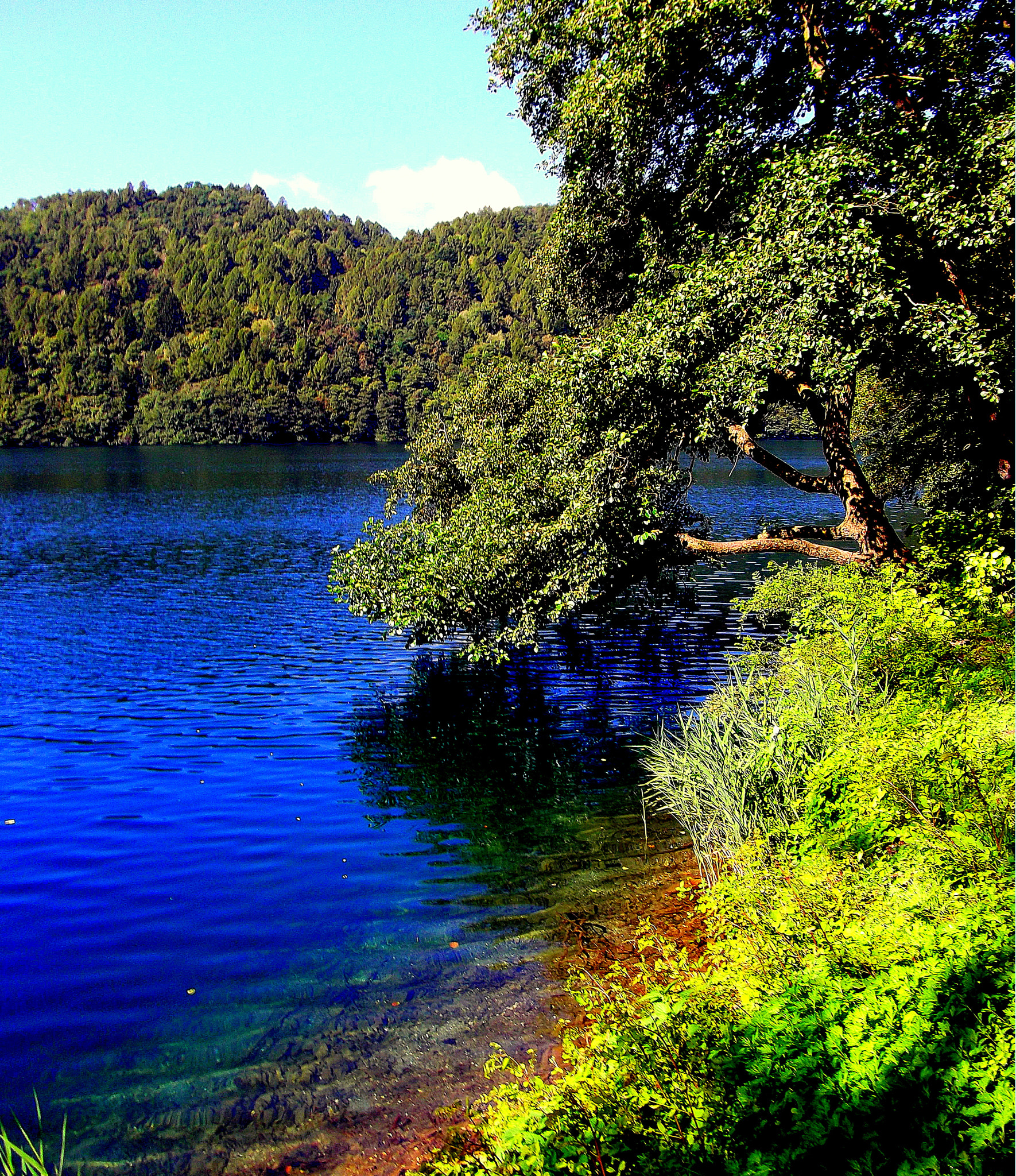 Fujifilm FinePix JX250 sample photo. La stupenda natura e il lago di levico terme. photography