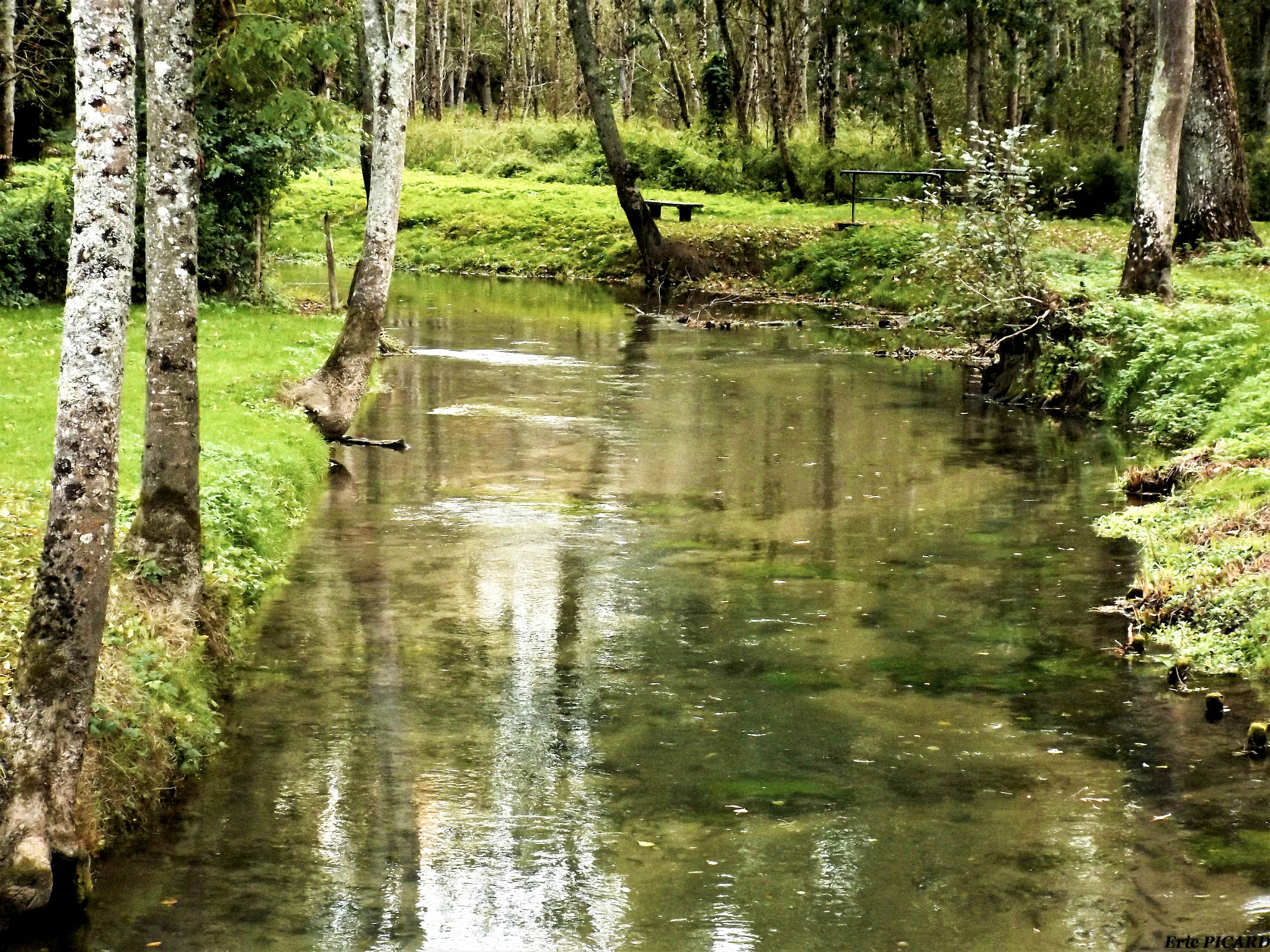 Fujifilm FinePix S4600 sample photo. Rivière ferrière en gâtinais photography