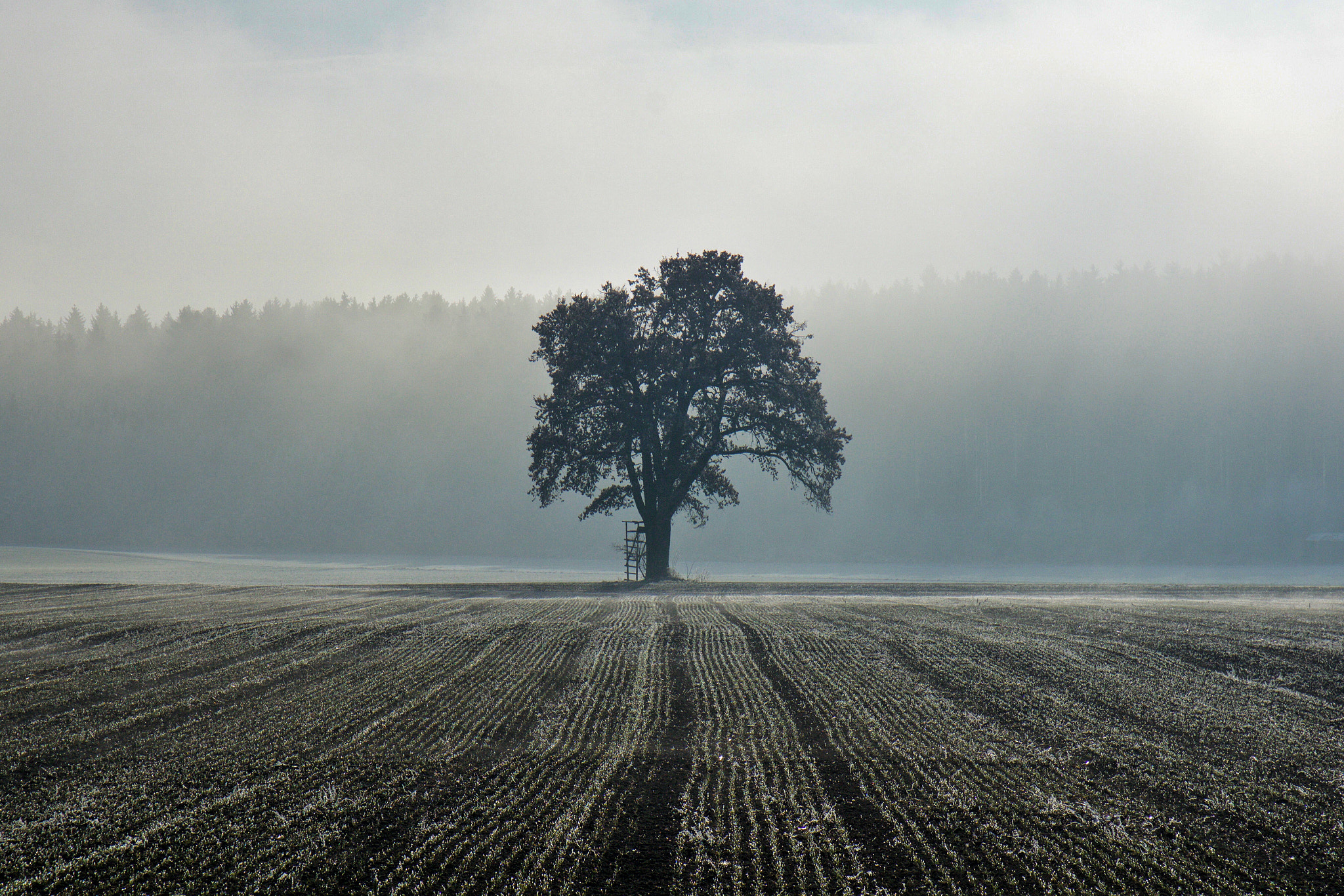 Sony a6000 + Sony Vario-Tessar T* E 16-70mm F4 ZA OSS sample photo. Solitaire photography